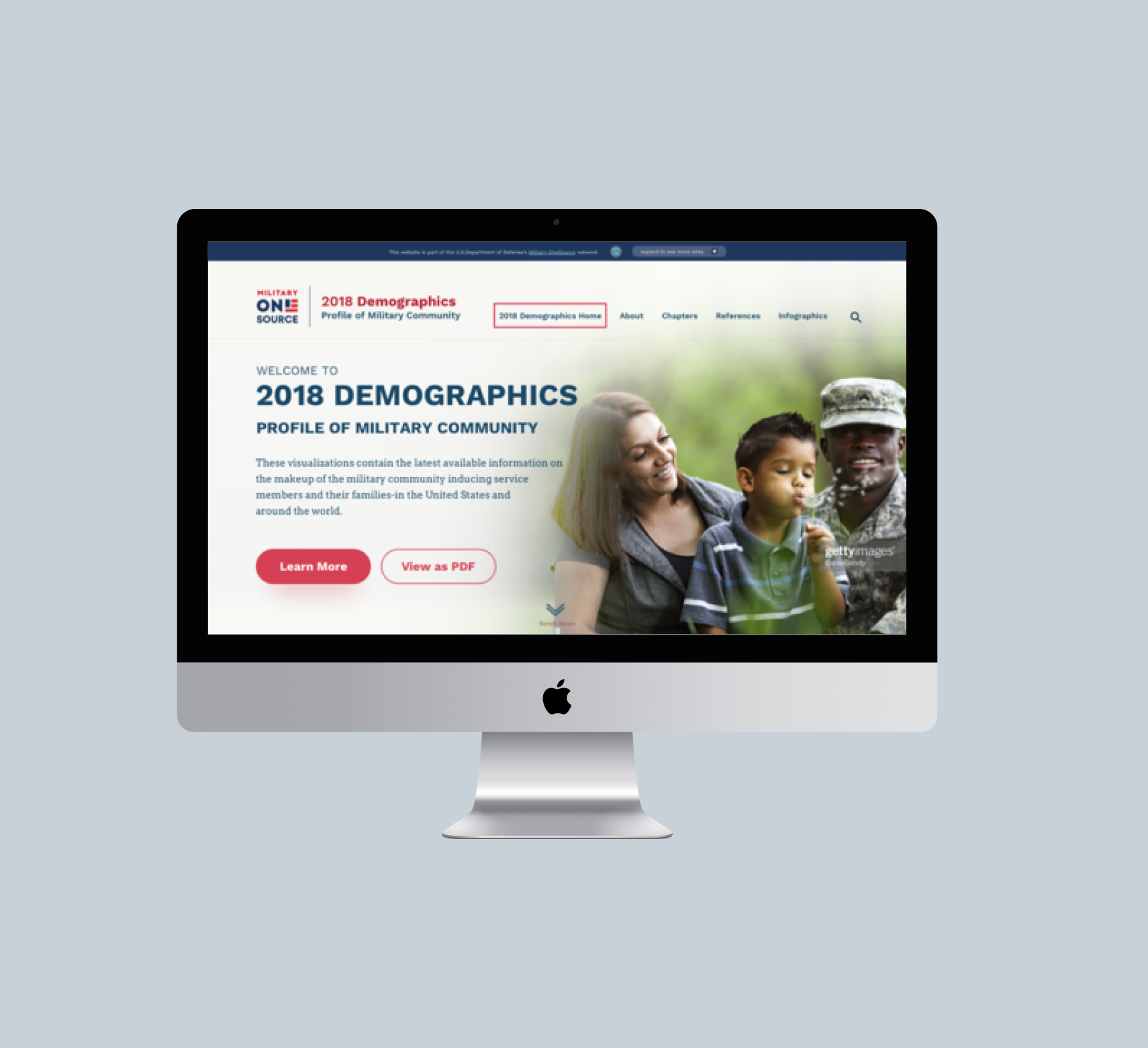Demographics Report Website