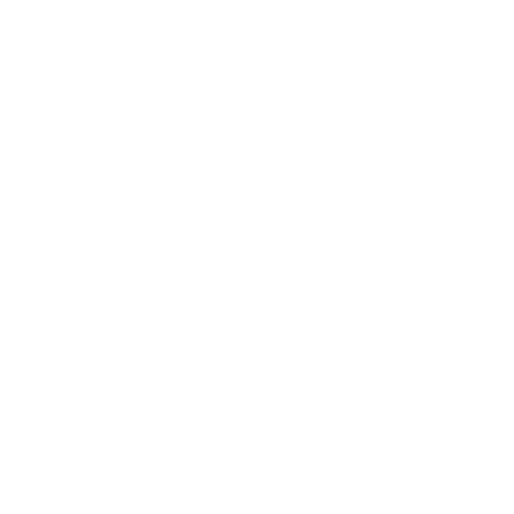 New Life Family Services