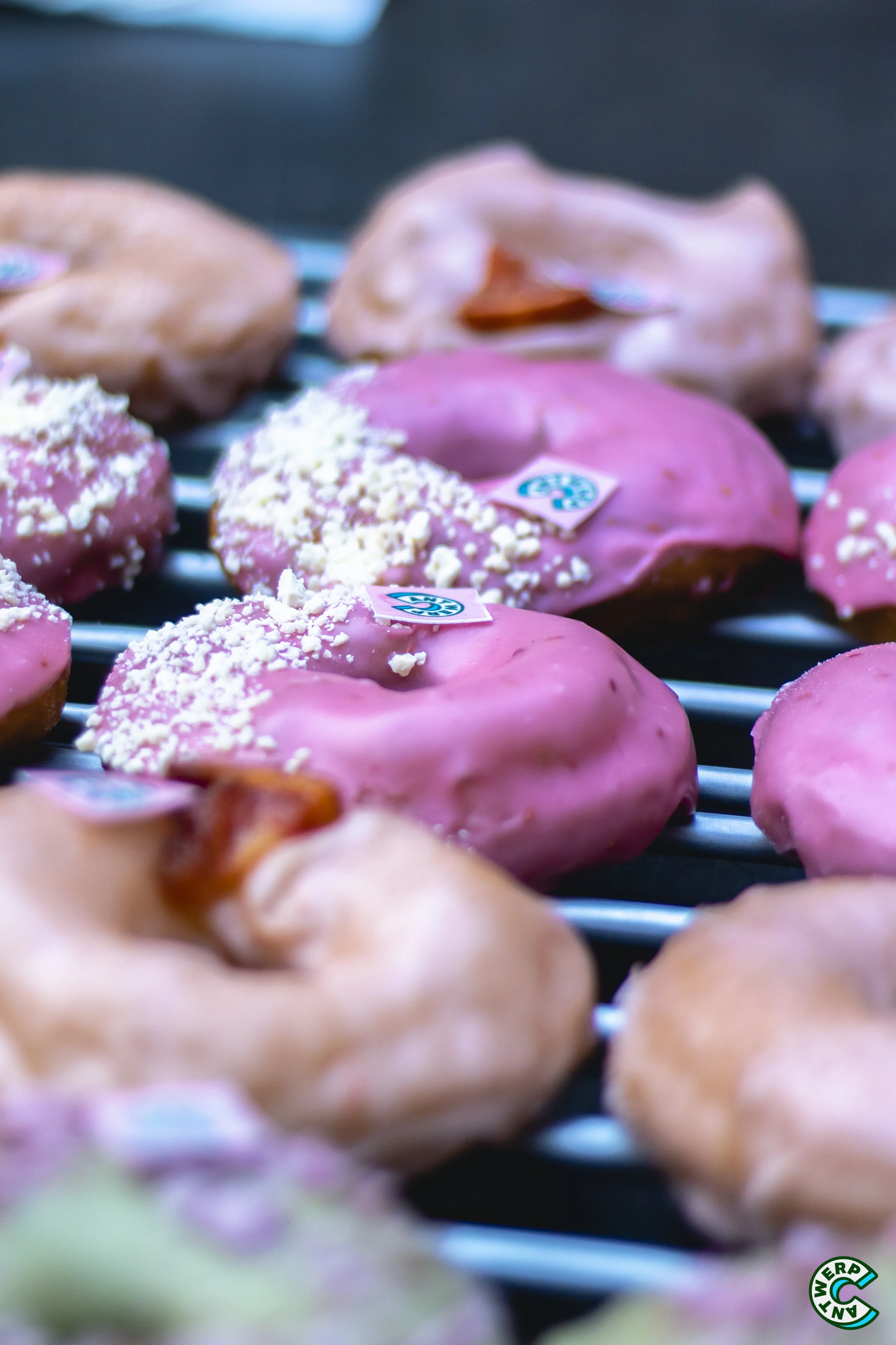 donuts.jpg