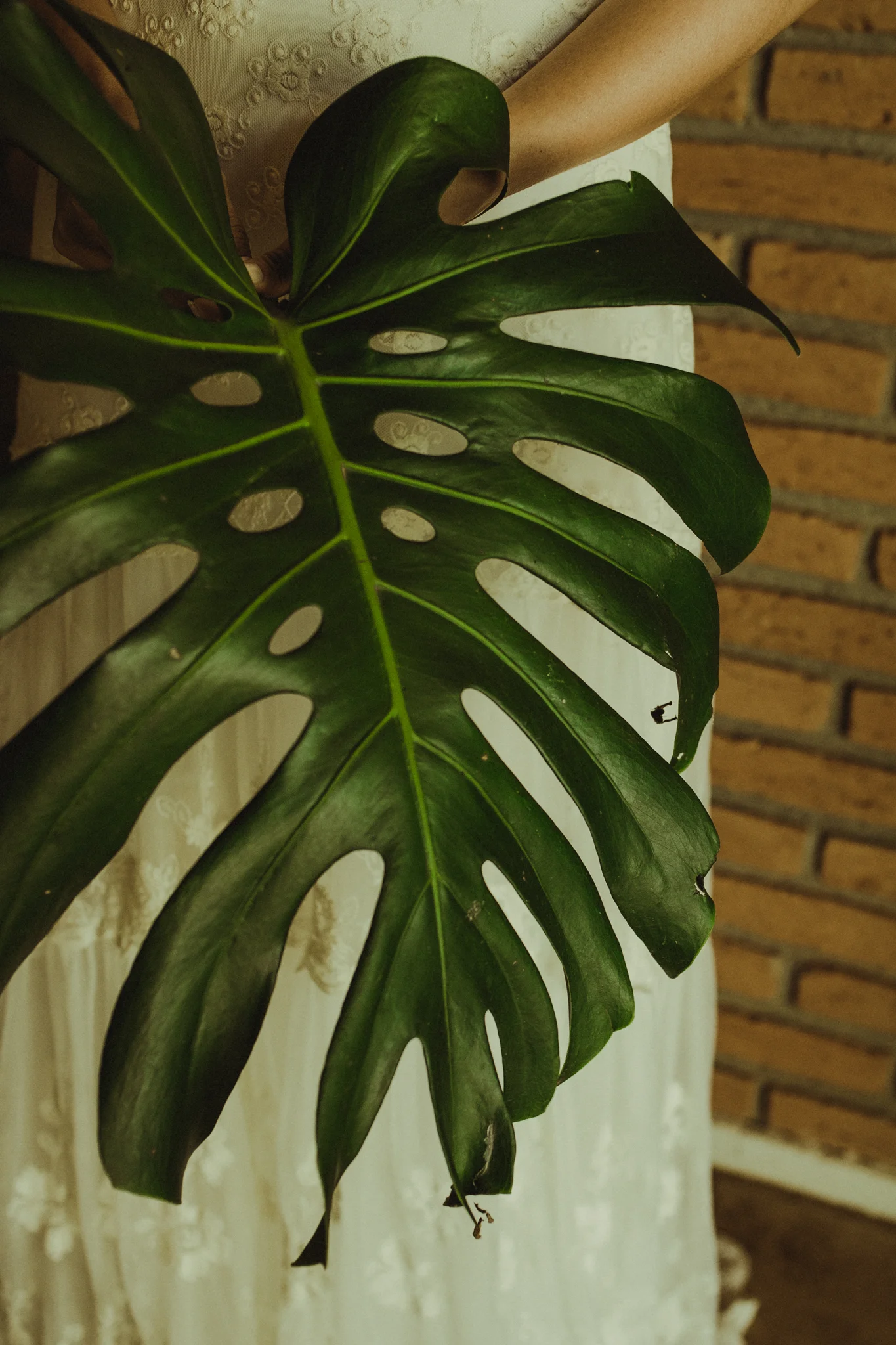 2Y5A4114-Editar.jpg