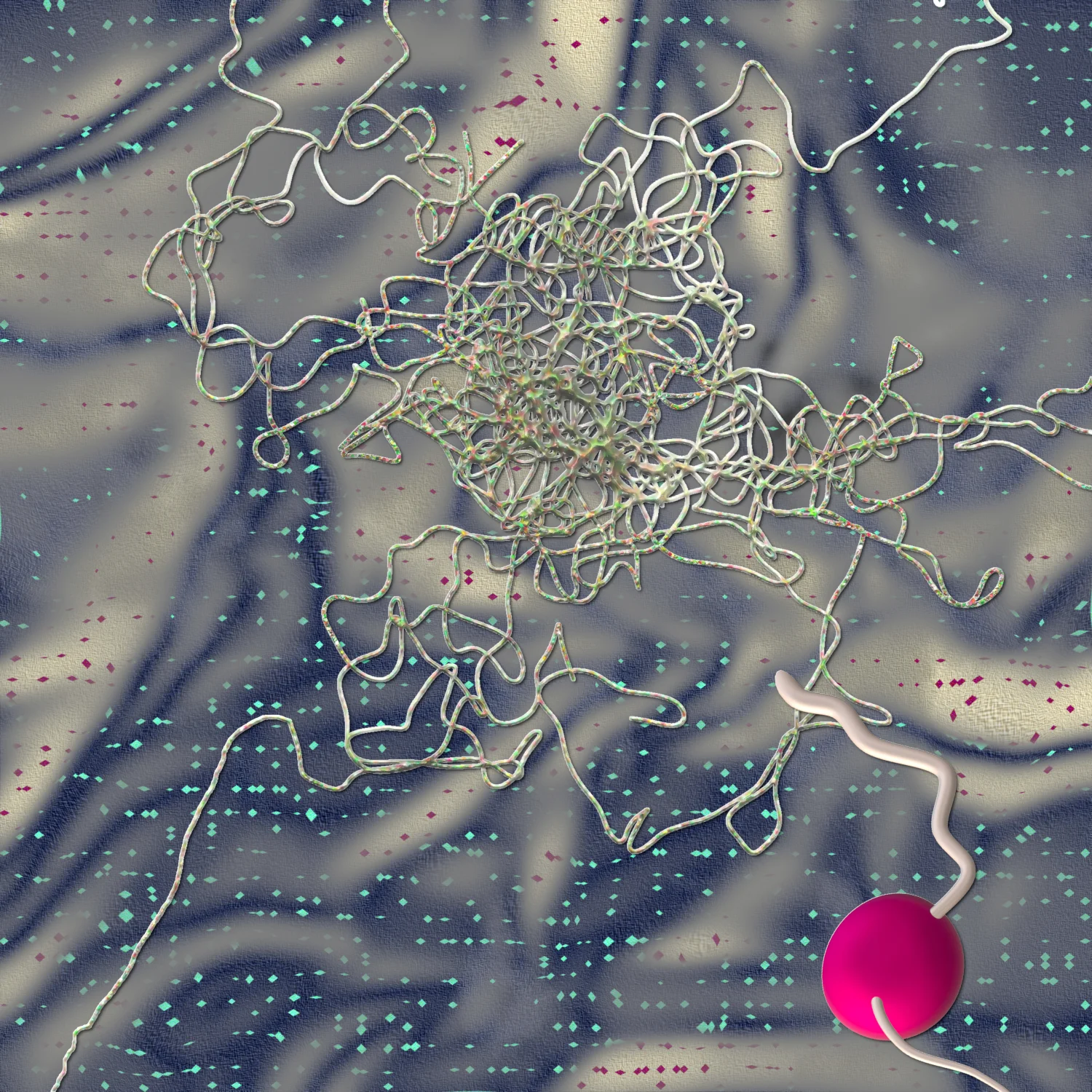 quantum entangled wormholes (2018)