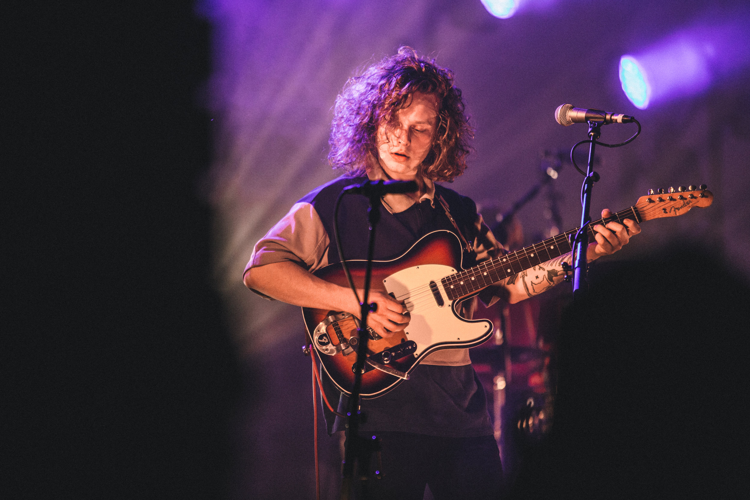 HIPPO CAMPUS