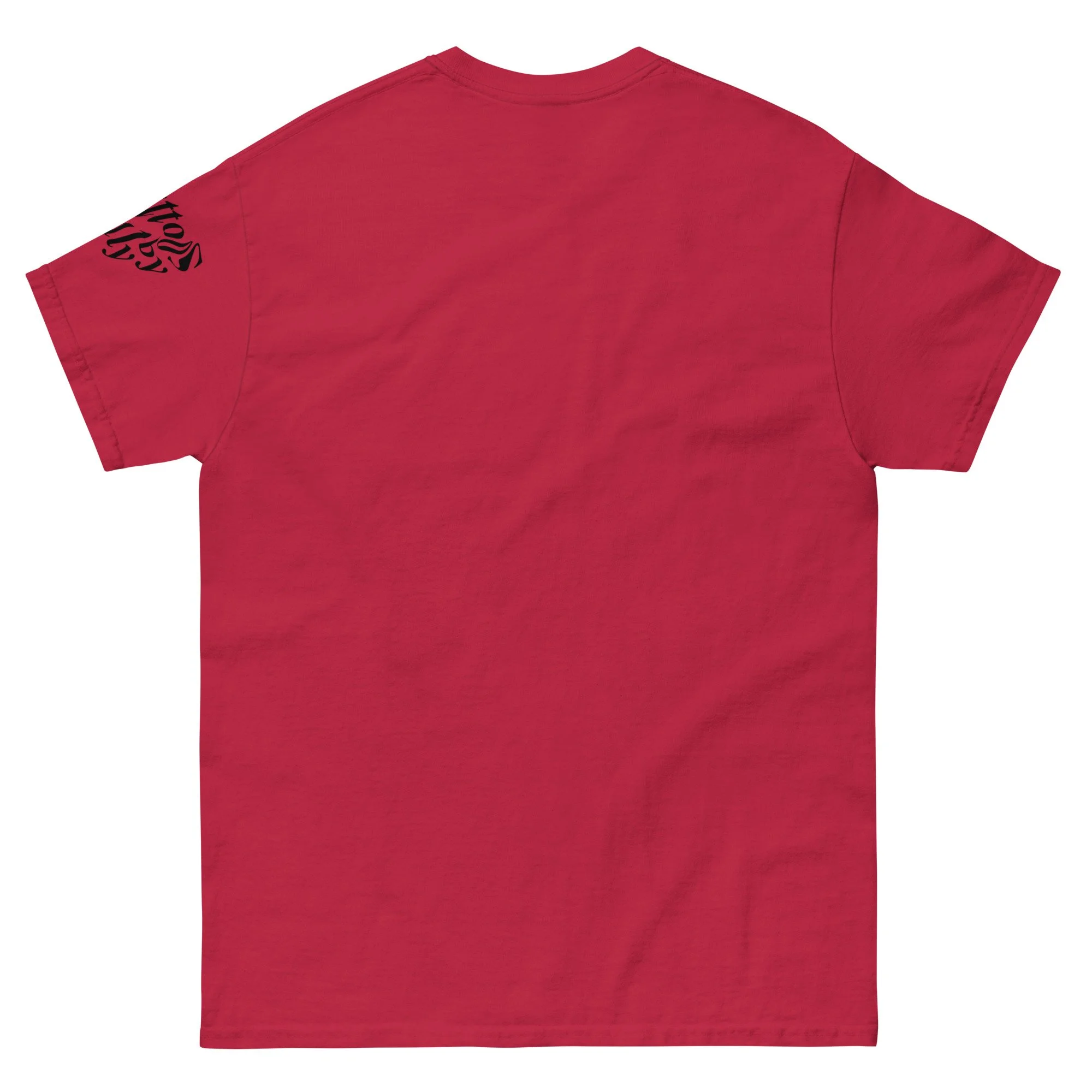 unisex-classic-tee-cardinal-back-6674f1c25d3d6.jpg