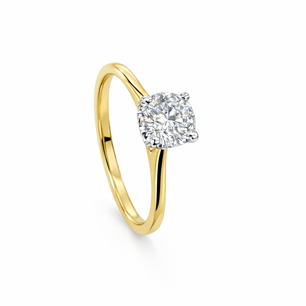 BDS1003 front view.png