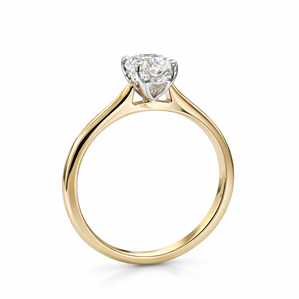 BDS1003 side view 2.png