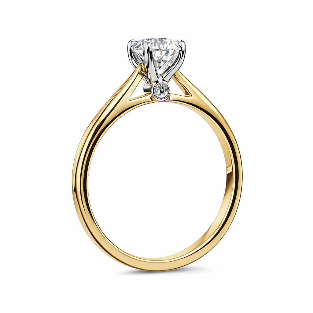 BDS153 side view.png