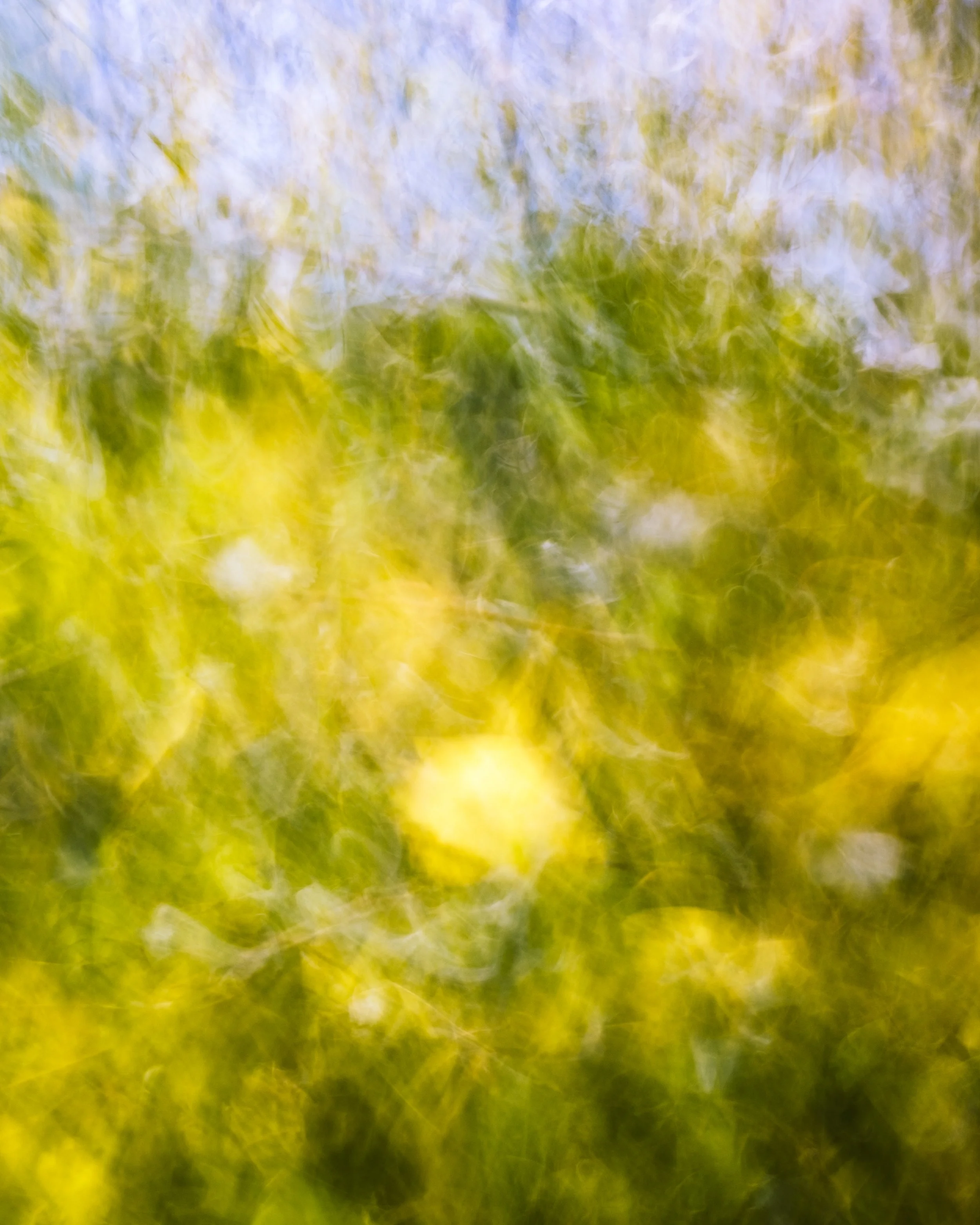 artwork_6a46d65b.jpg
