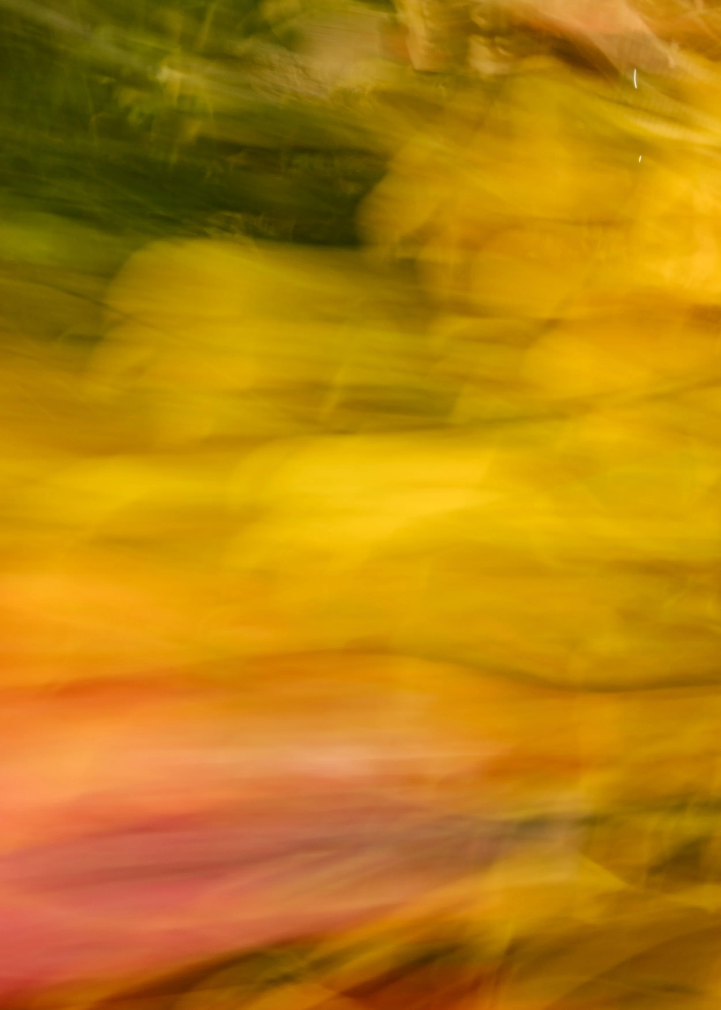 artwork_6a46d65c.jpg