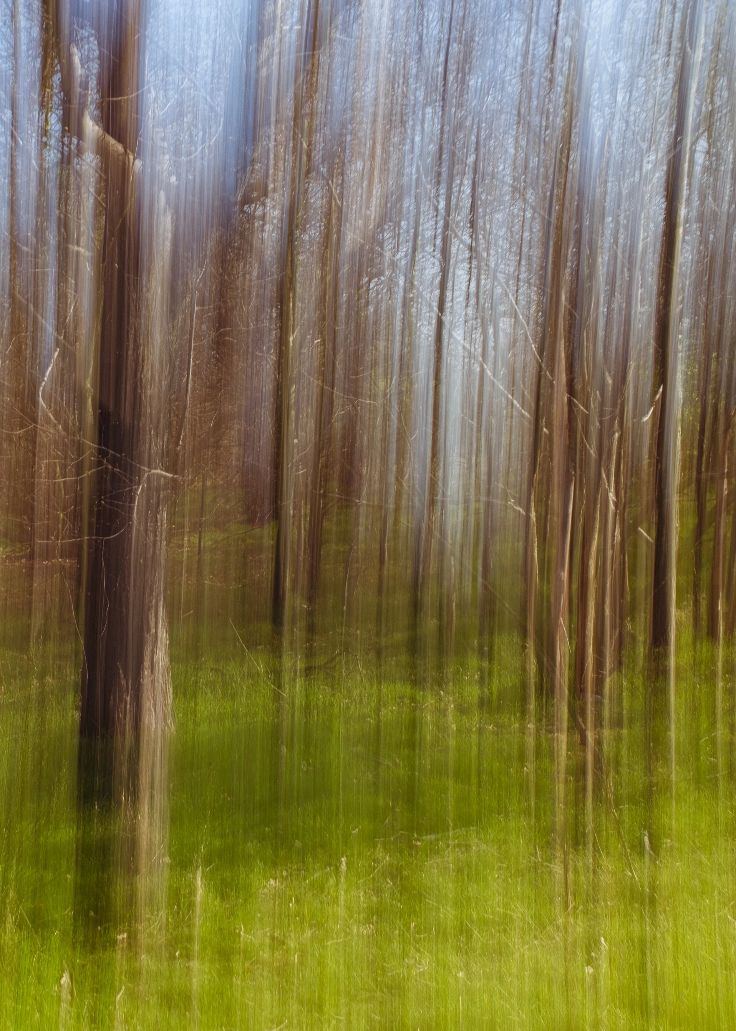 artwork_6a46d661.jpg