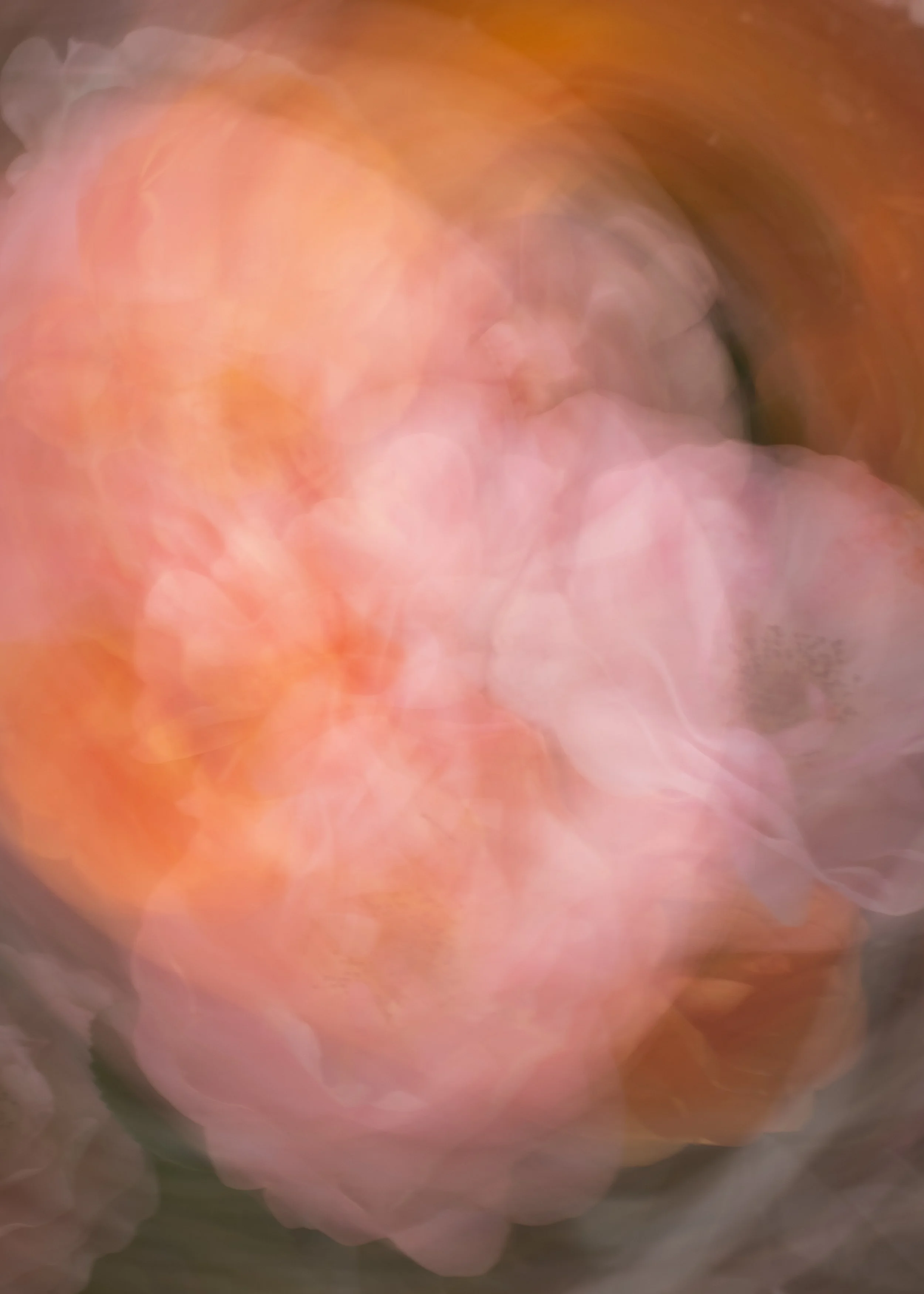 artwork_6a46d661.jpg