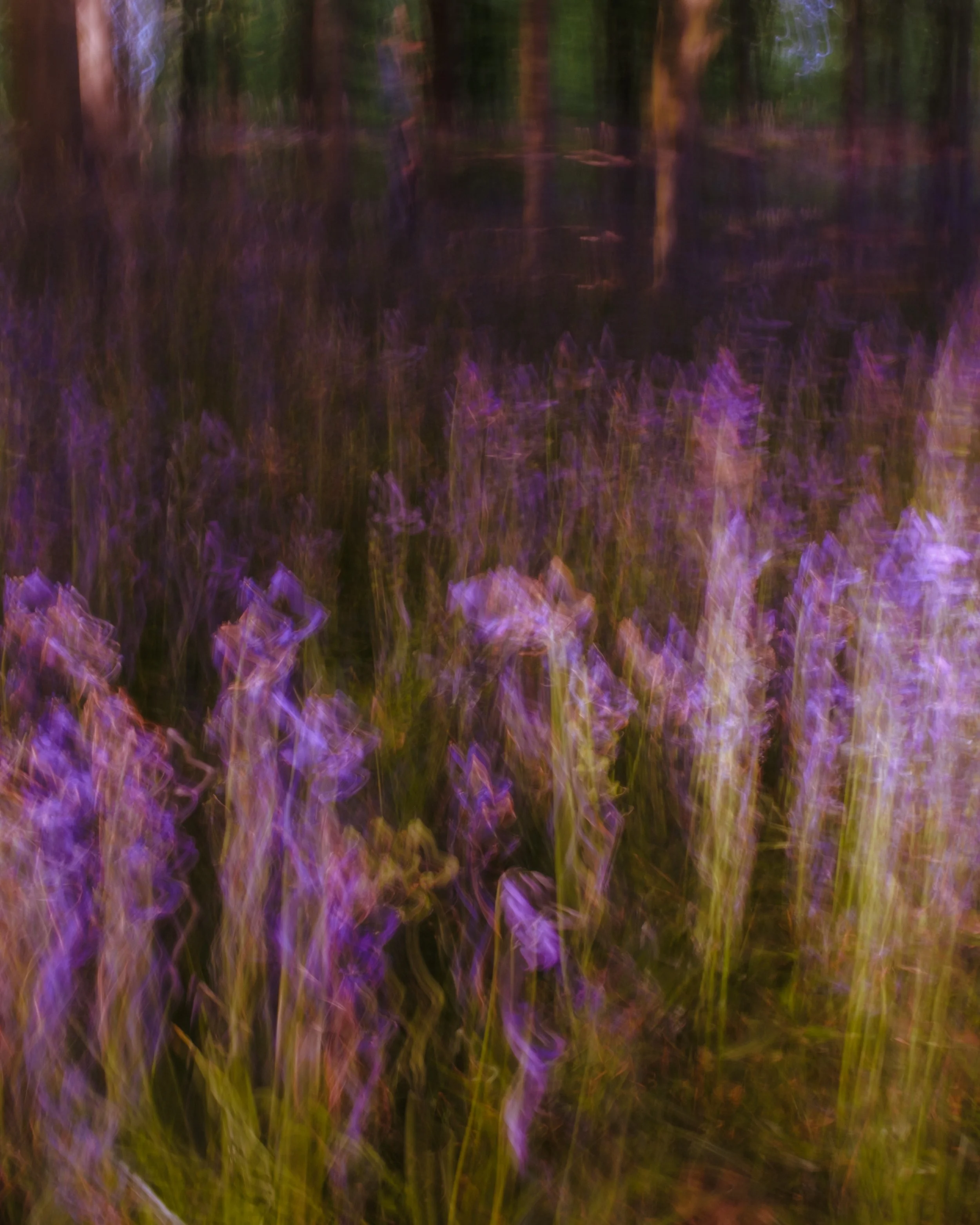 artwork_6a46d662.jpg