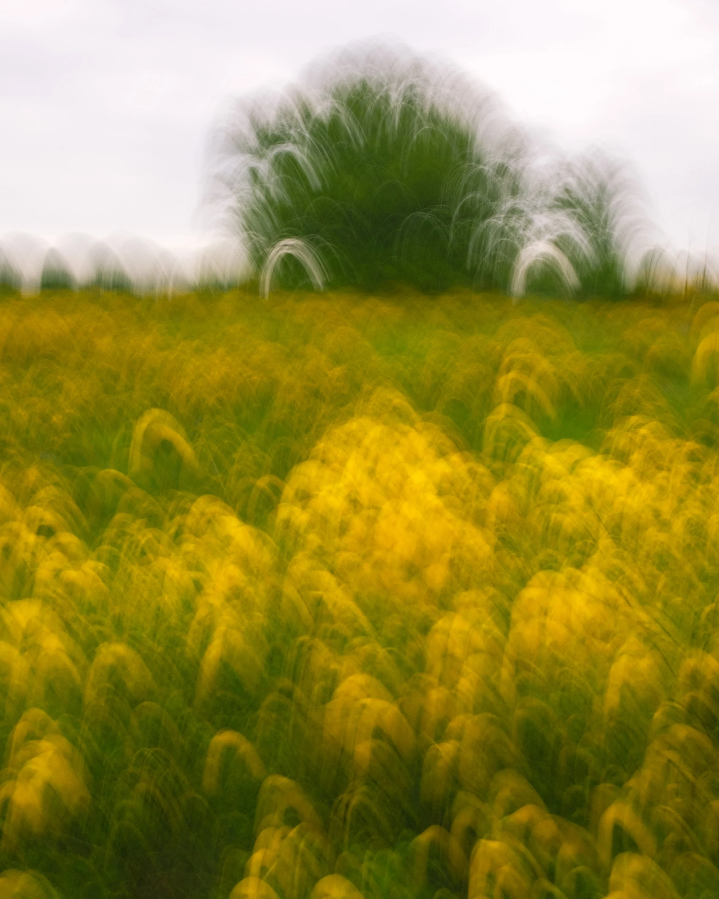 artwork_6a46d662.jpg