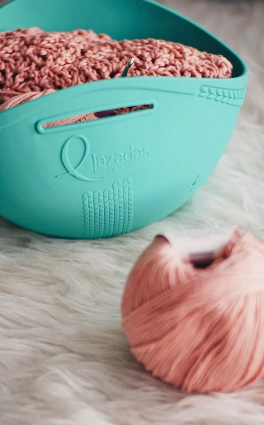 Lazadas Project Caddy Review