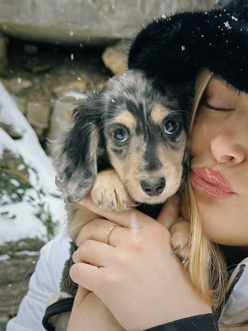 wrigley&rsquo;s first snow ❄️