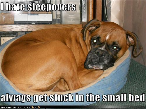 sleepover.png