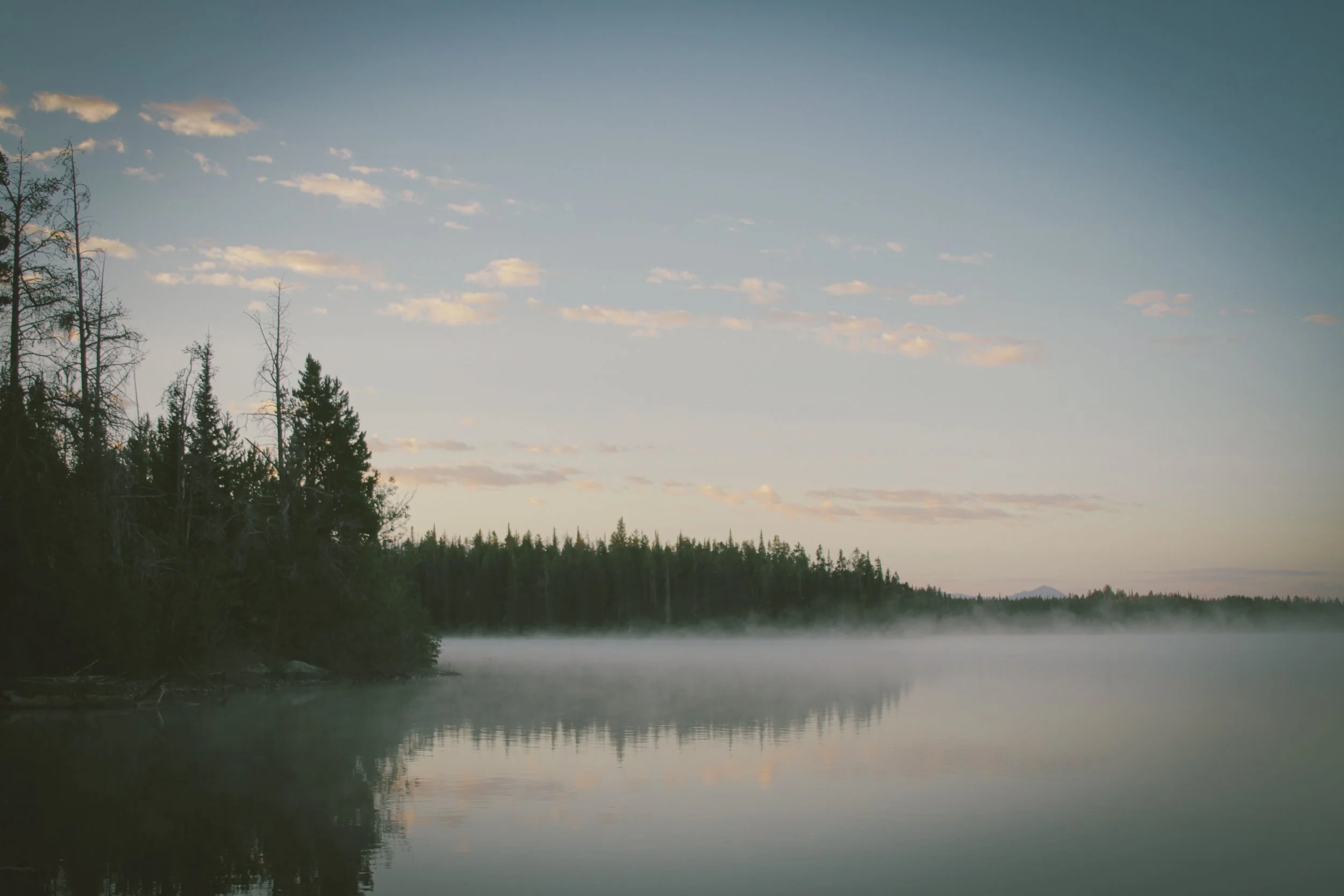 Photo by Dustin Scarpitti