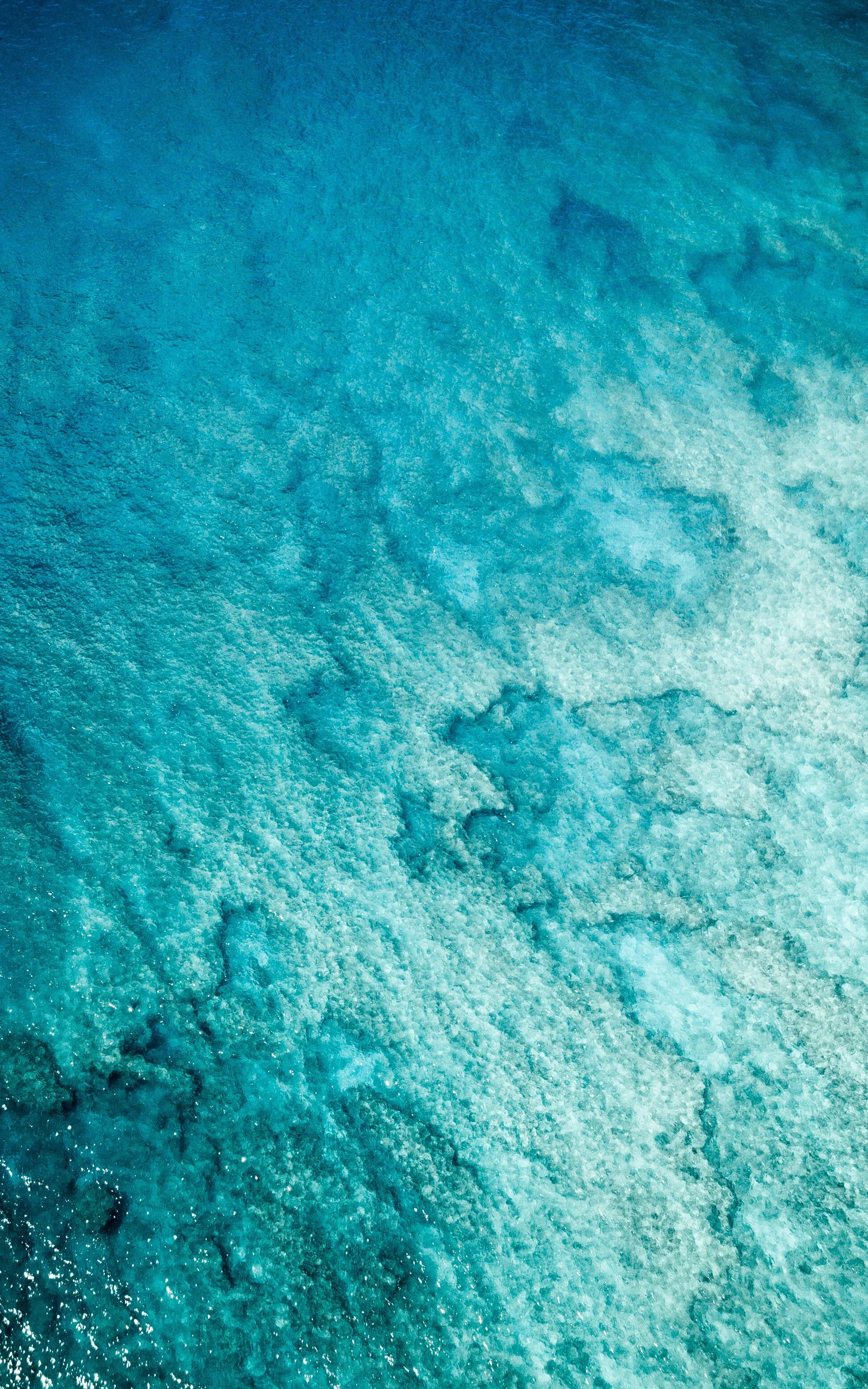jeremy-bishop-iEjCQtcsVPY-unsplash.jpg