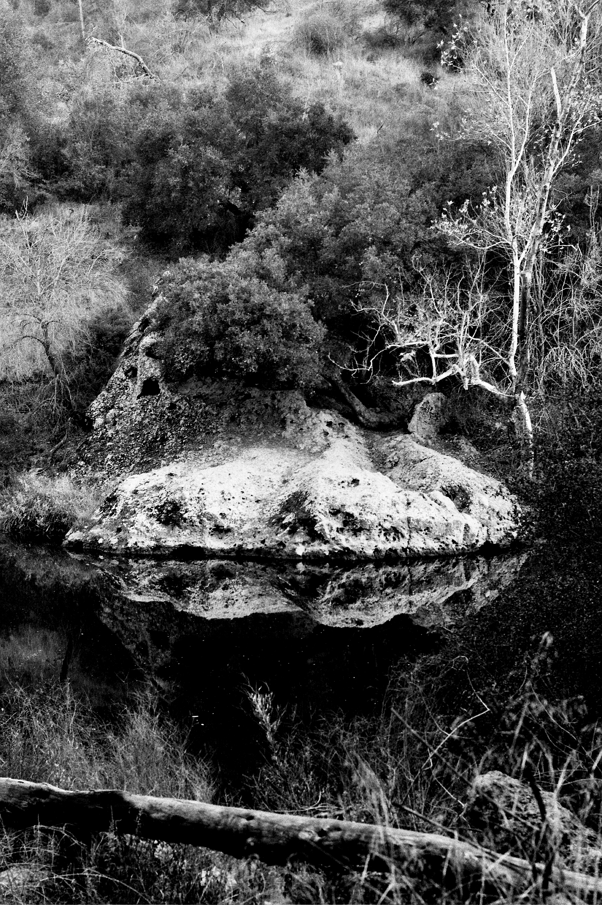malibu-st-park-pond.gif