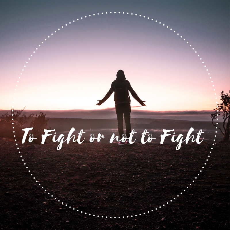 To Fight or not to Fight ALISON WALLWORK BLOG .jpg