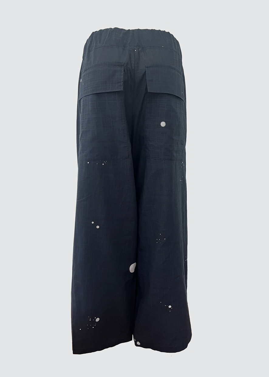 astra pants taka.png