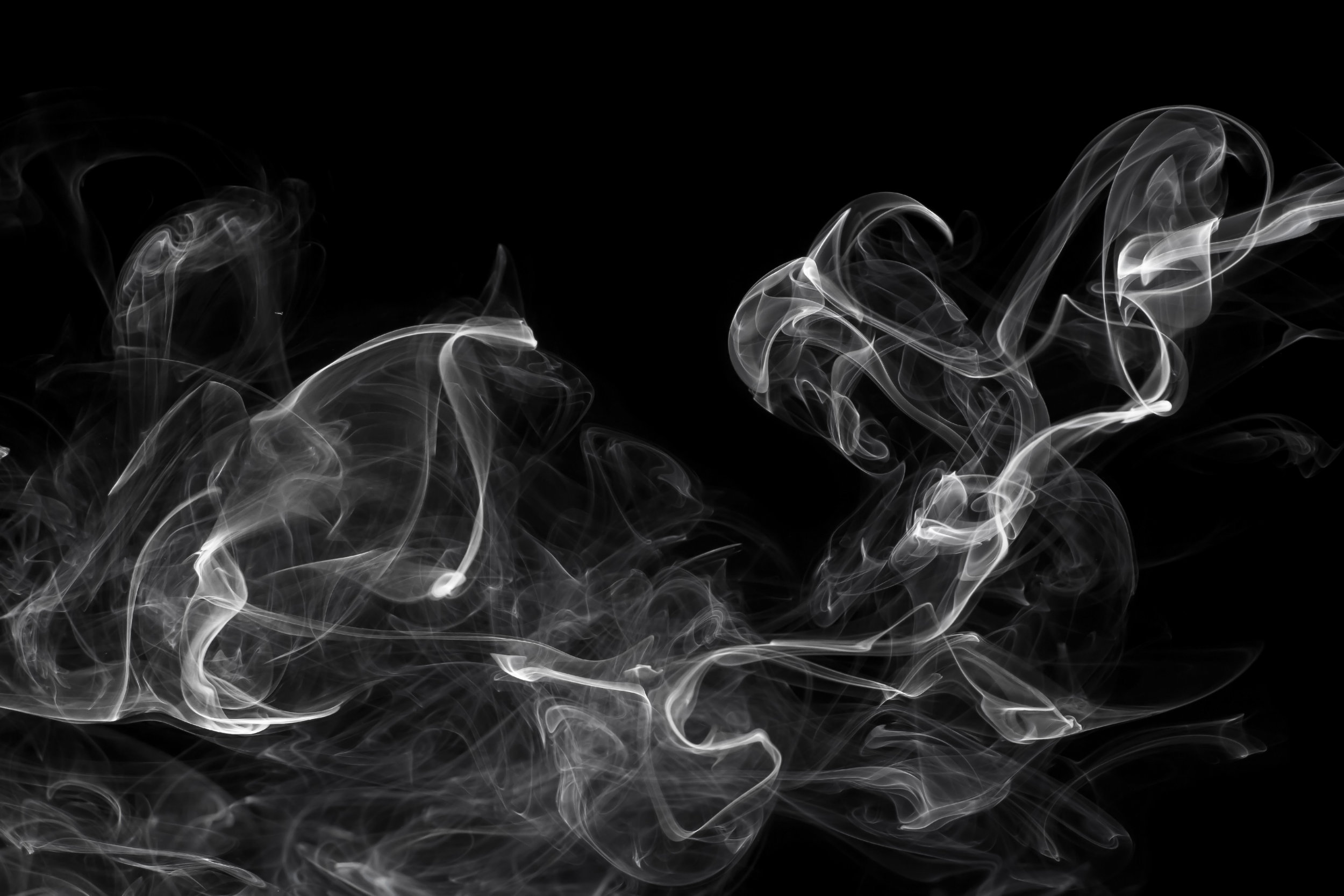 AdobeStock_110946562.jpeg