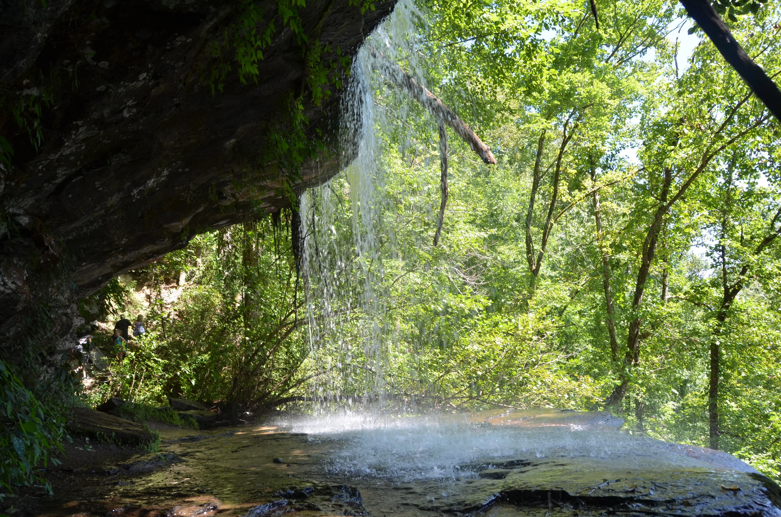 DSC_0432