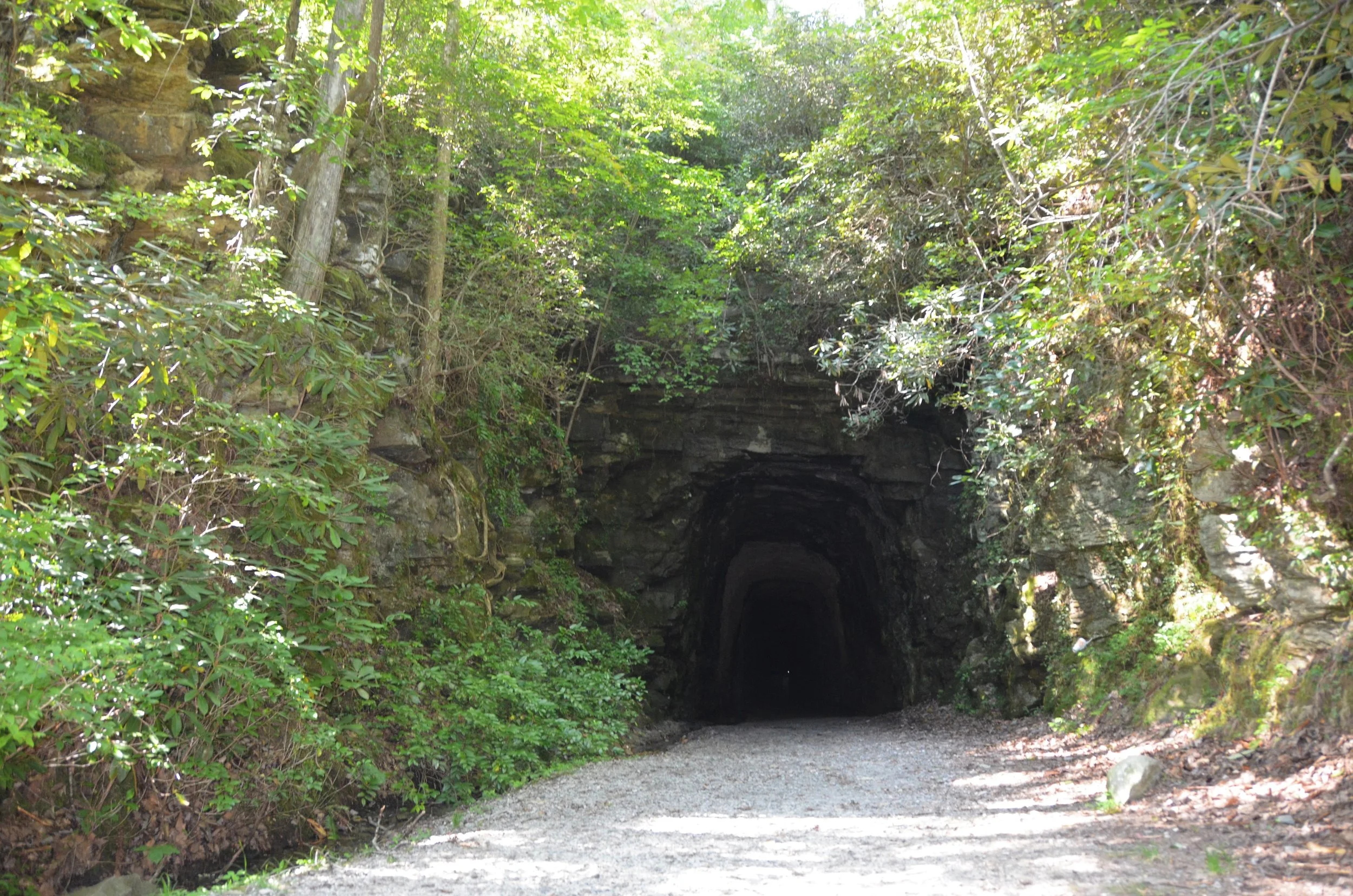 DSC_0545 (2)