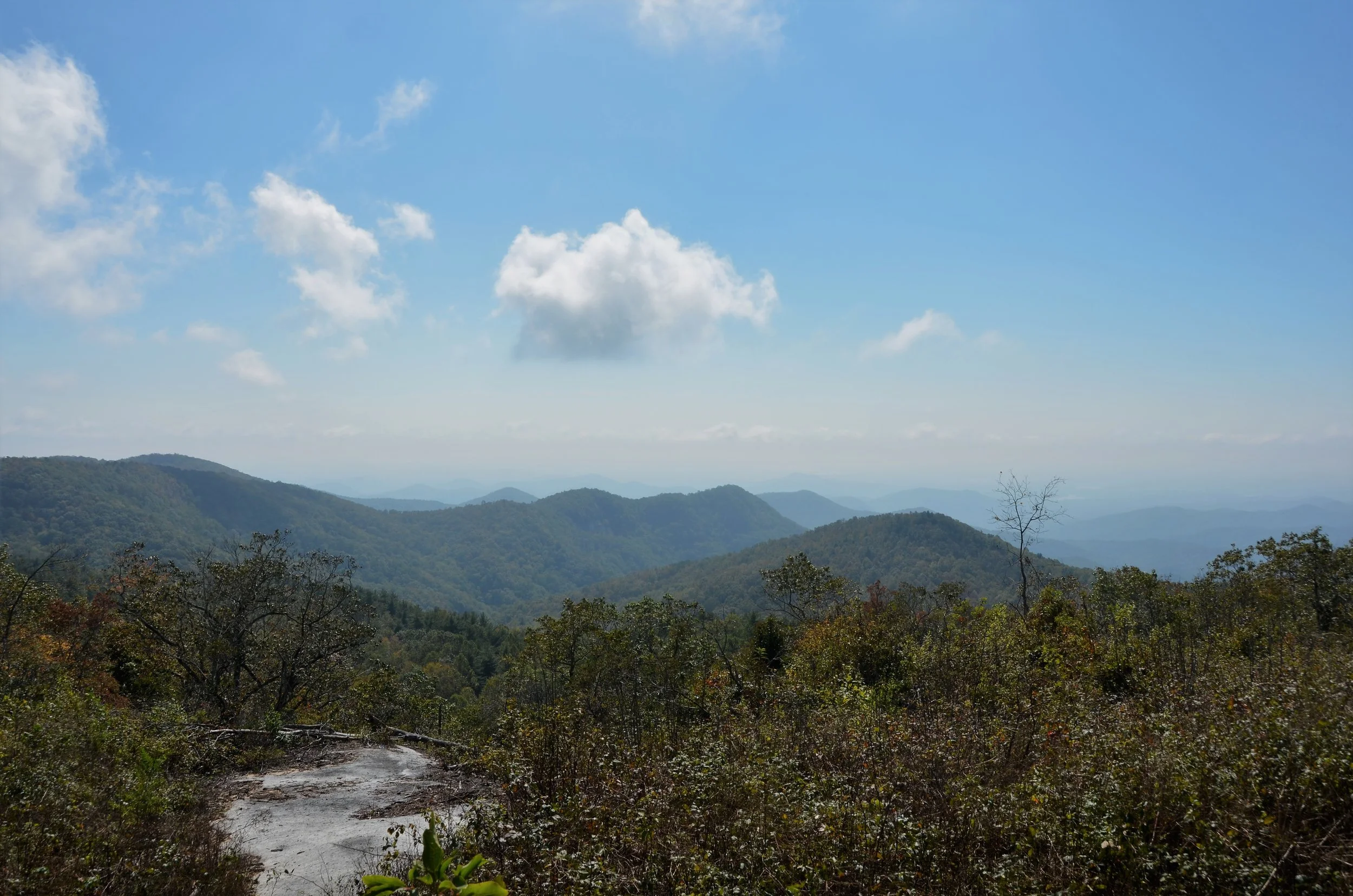 dsc_0561-2.jpg