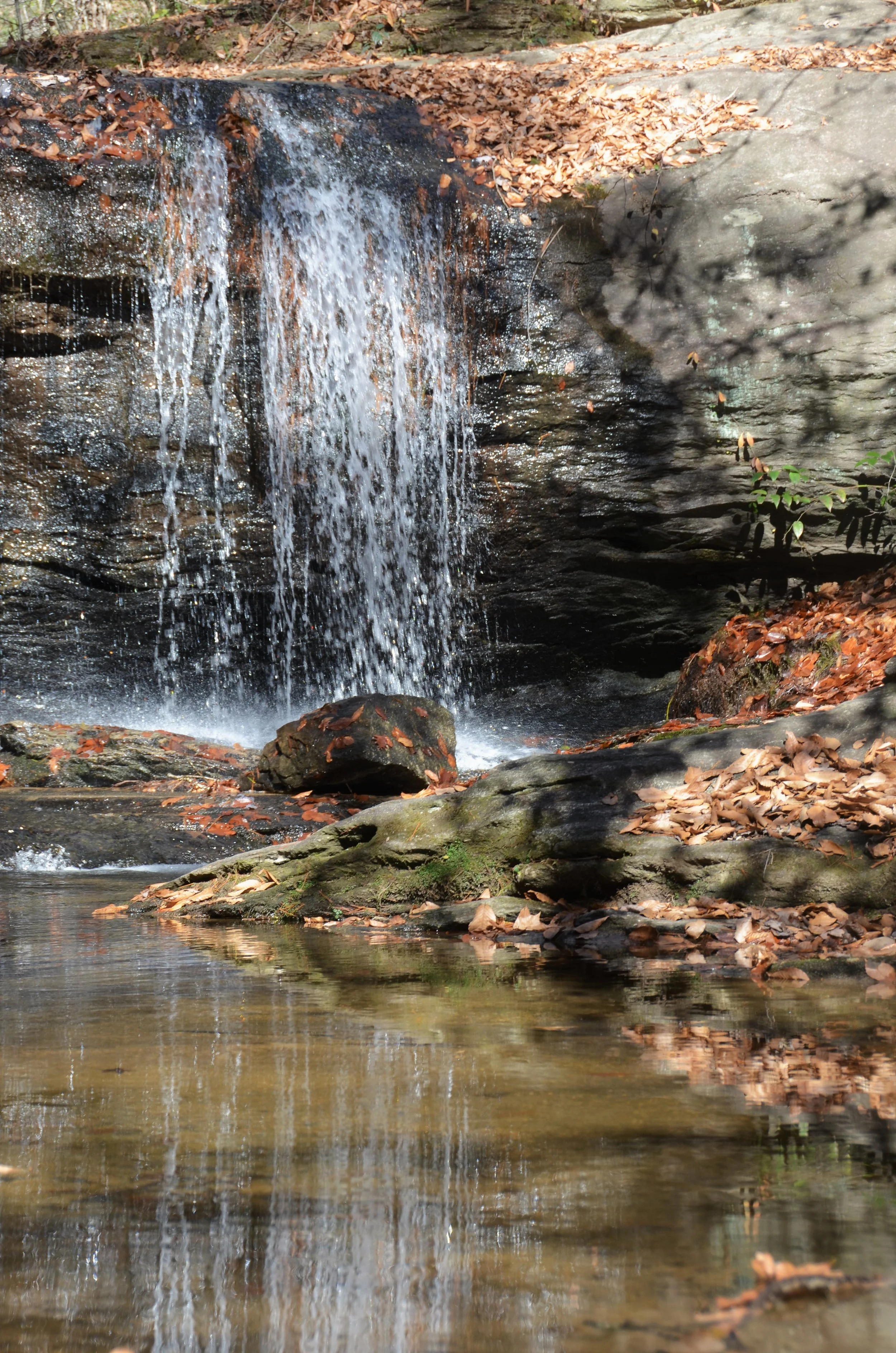 DSC_0845 (2)