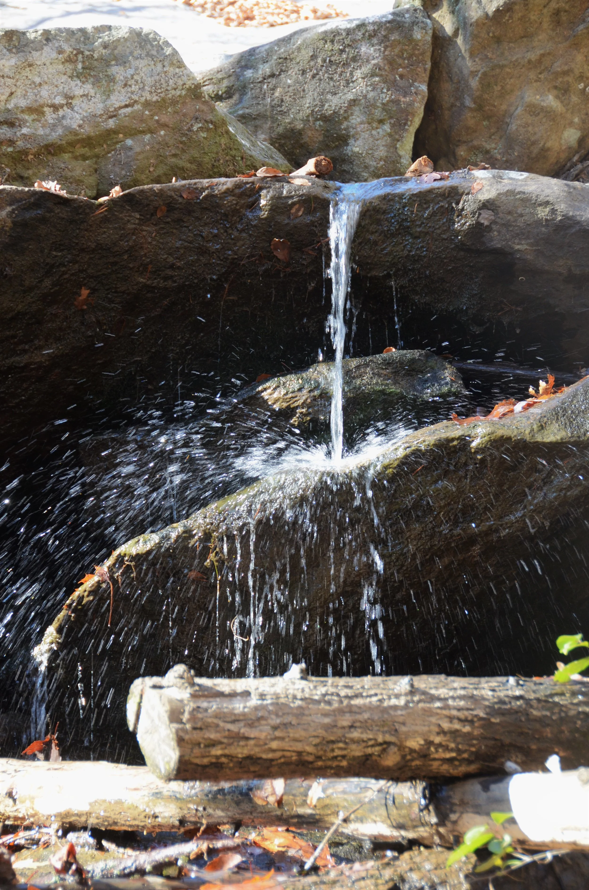 DSC_0887 (2)