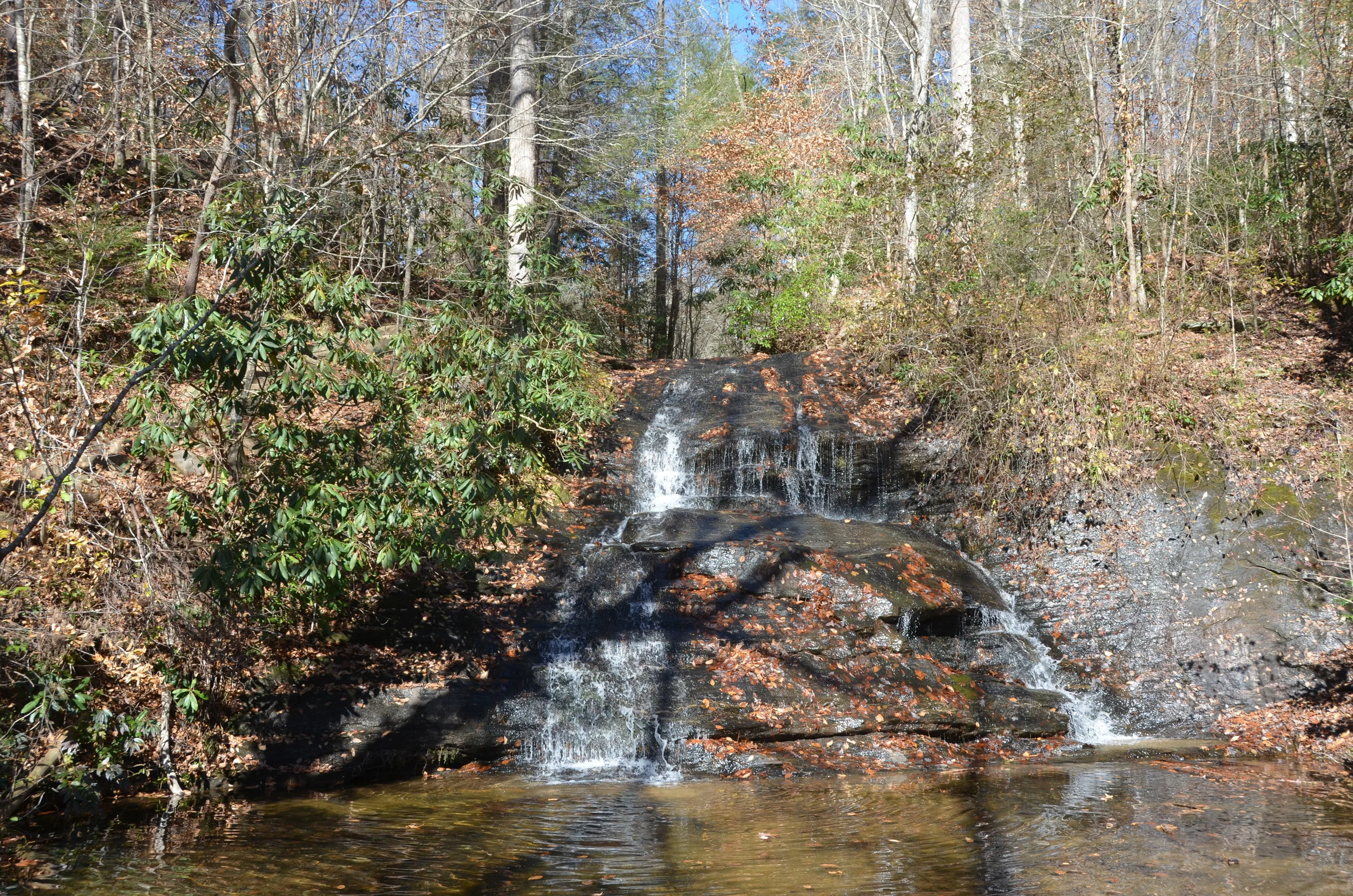 dsc_0831.jpg