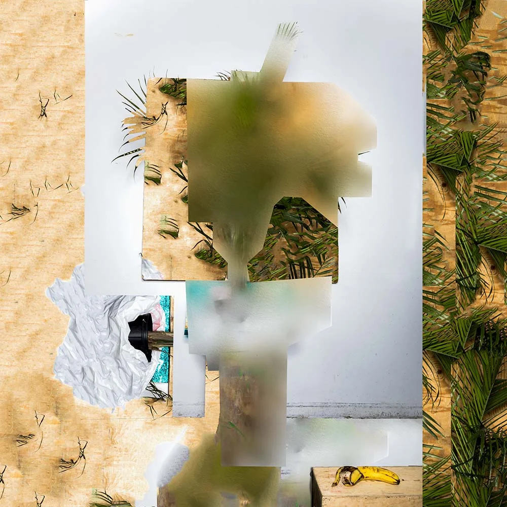 House Plant_4.jpg