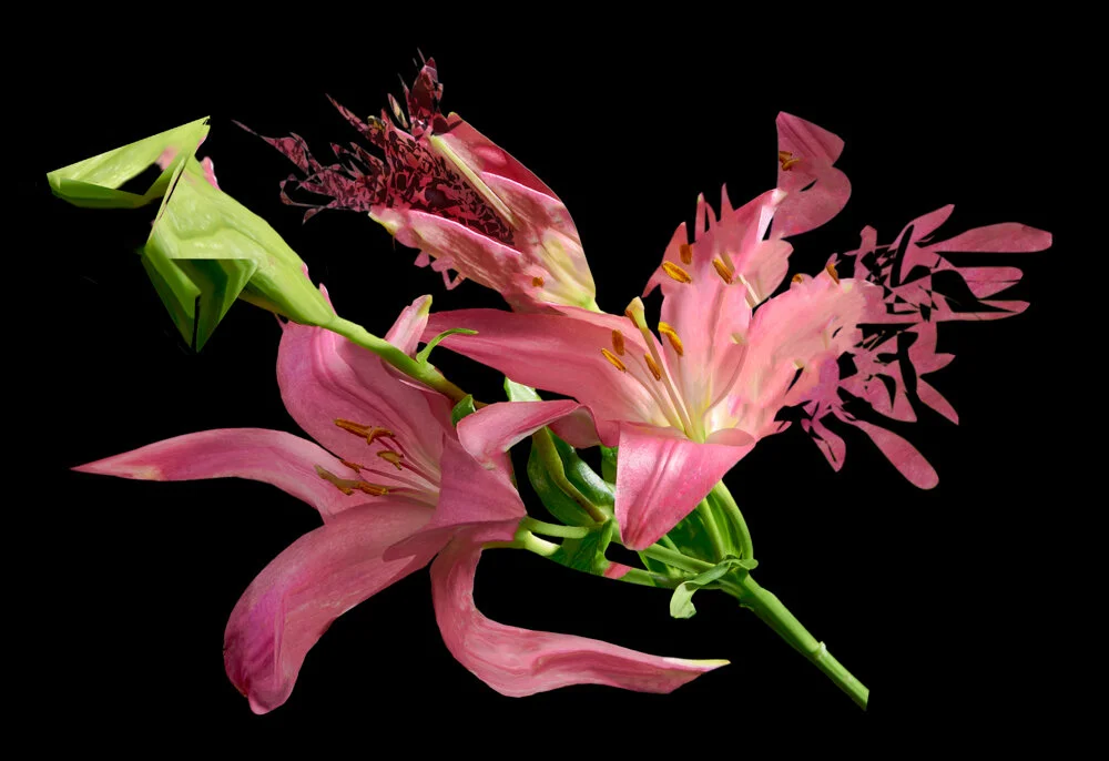 Lilly_025_CO.jpg