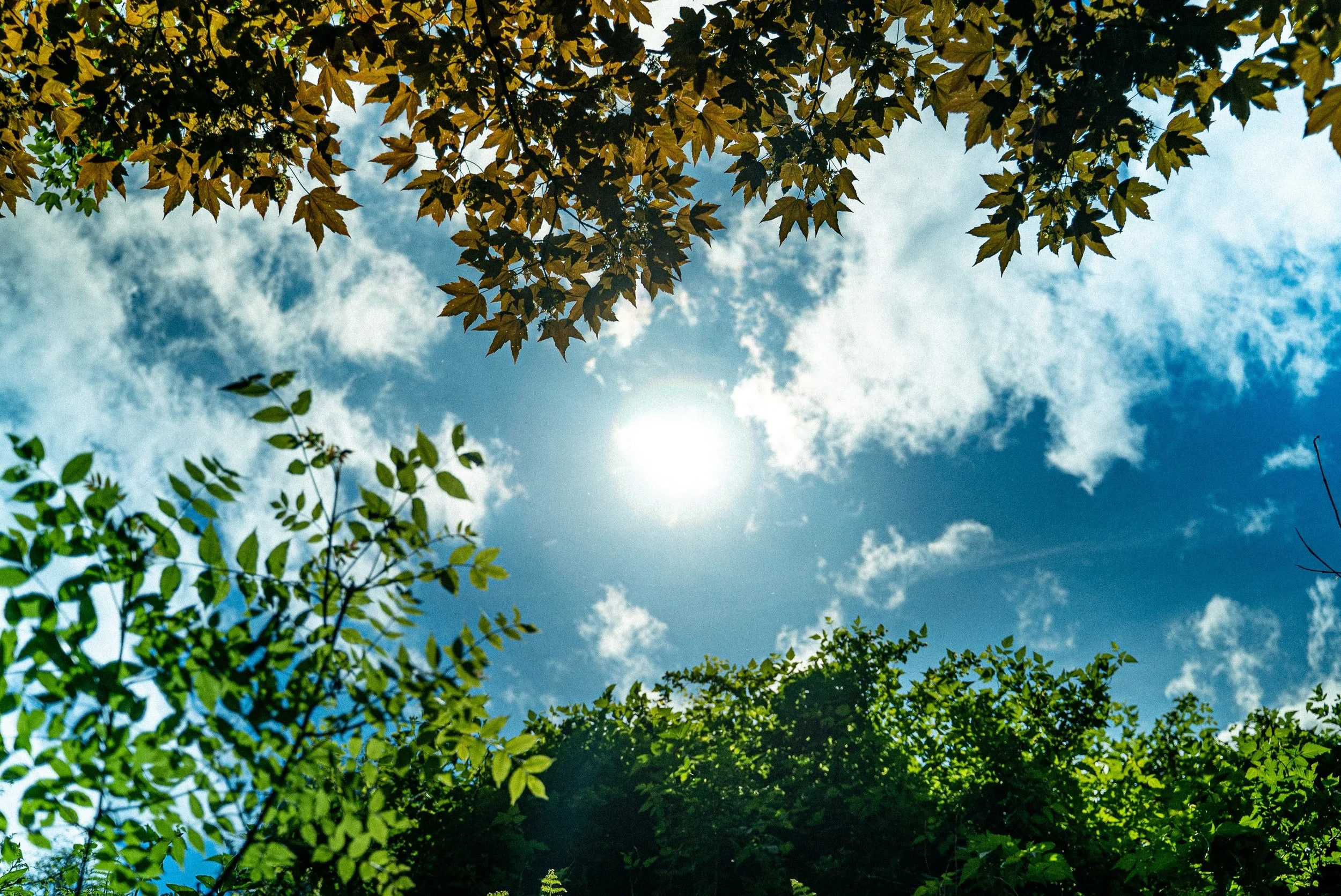 Warning Signs You're Lacking Vitamin D, Say Experts