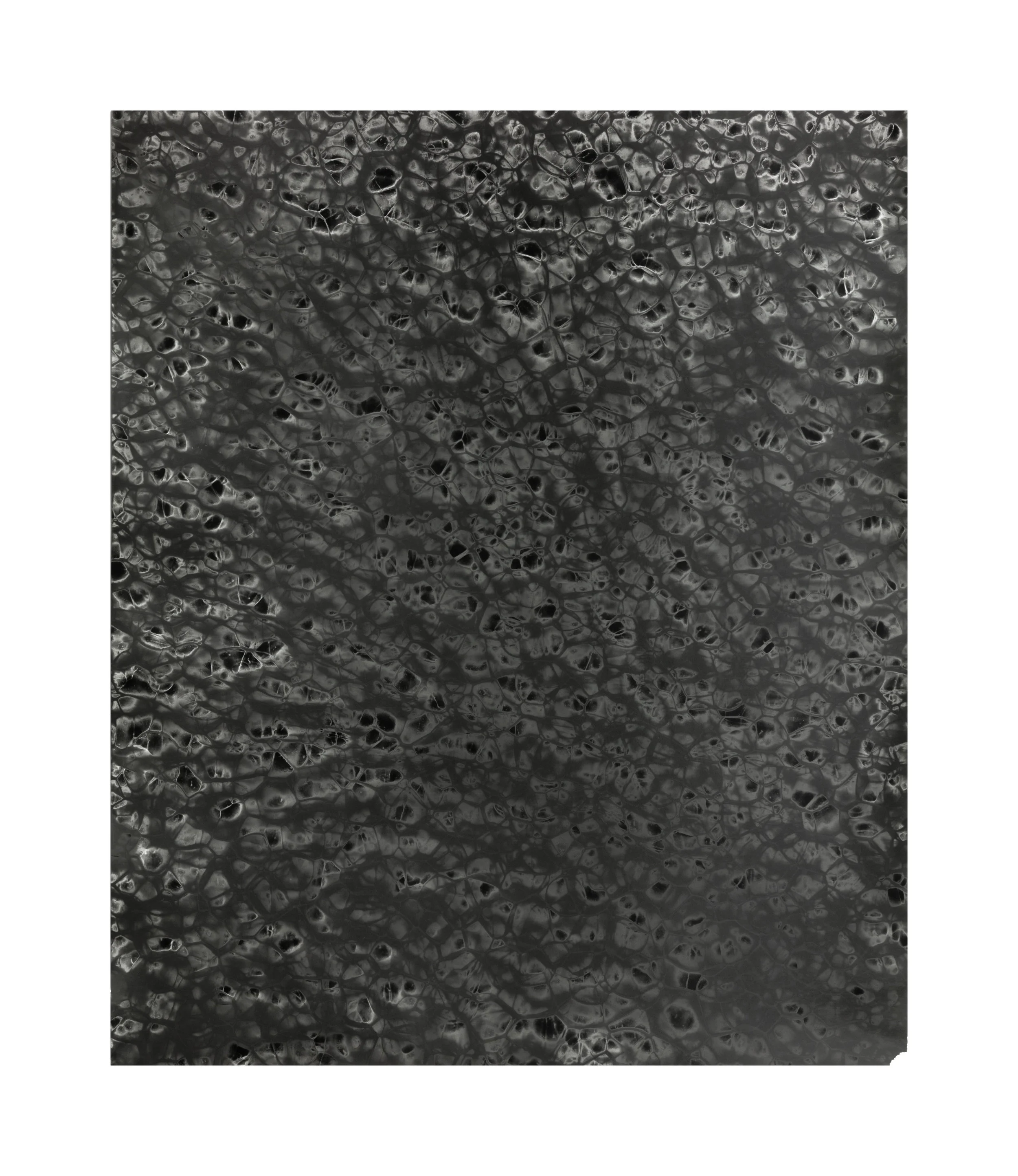 Jennifer_floor2_2.jpg