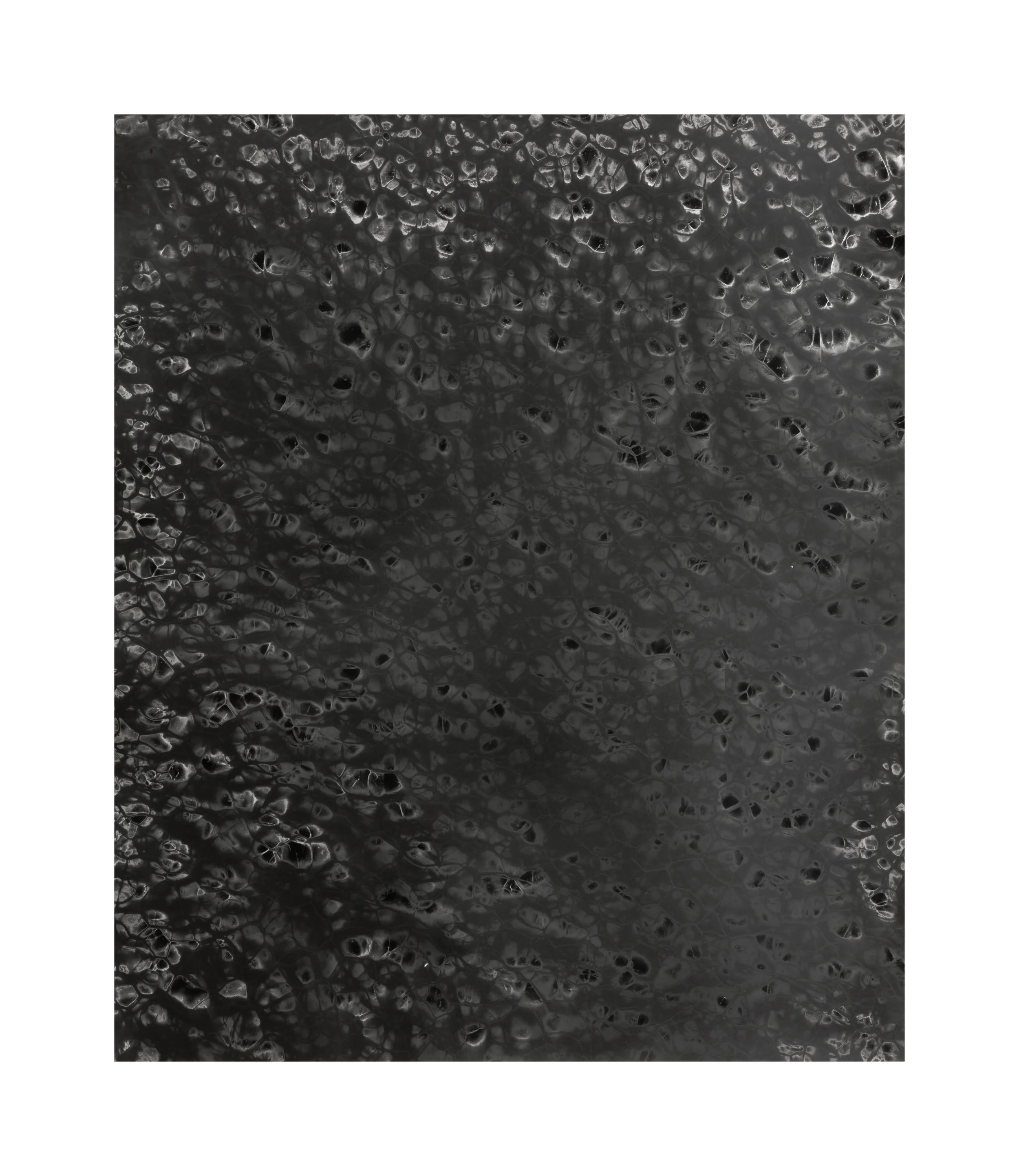 Jennifer_floor2_4.jpg