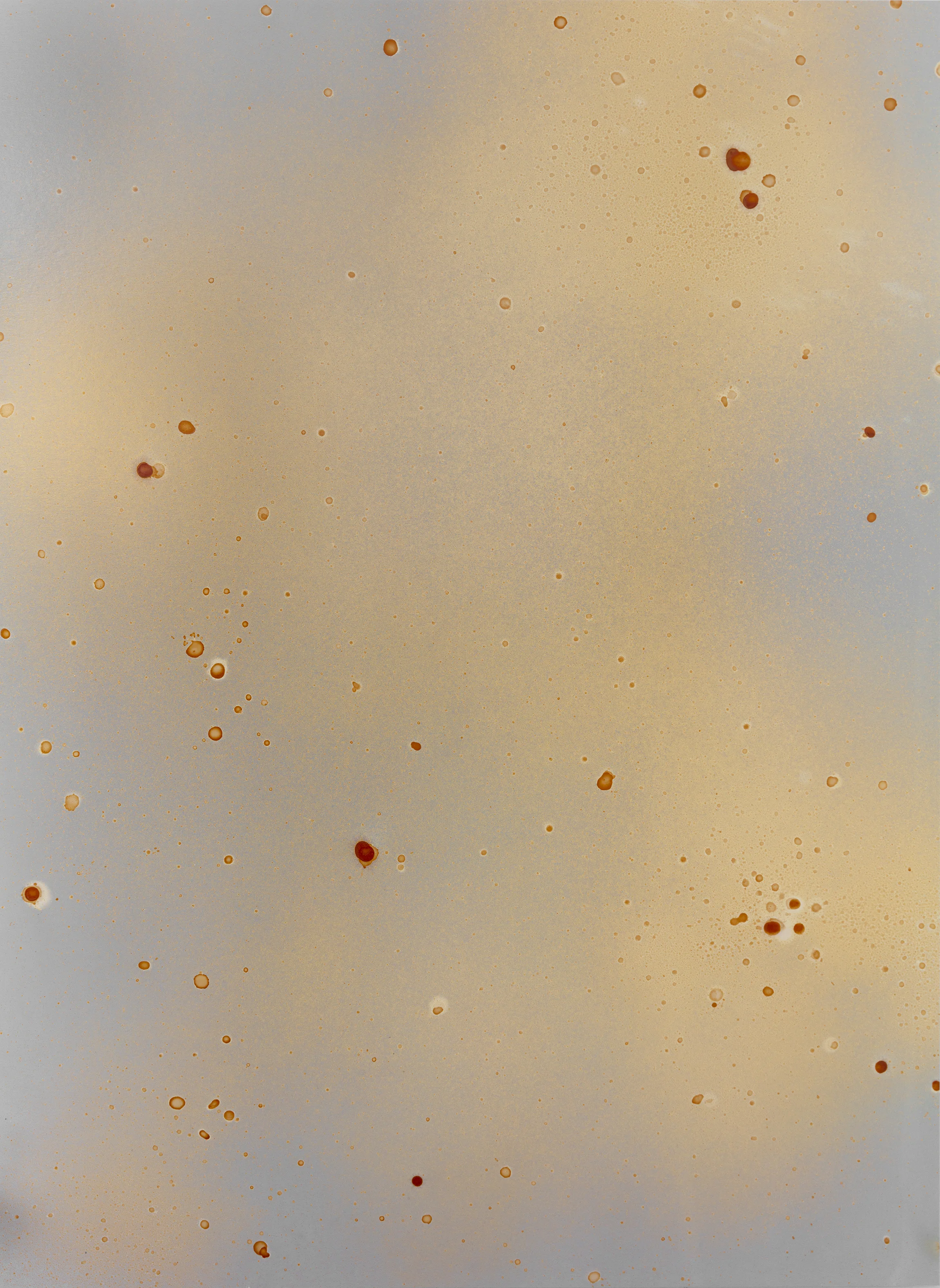 Dispersion IV, 2019