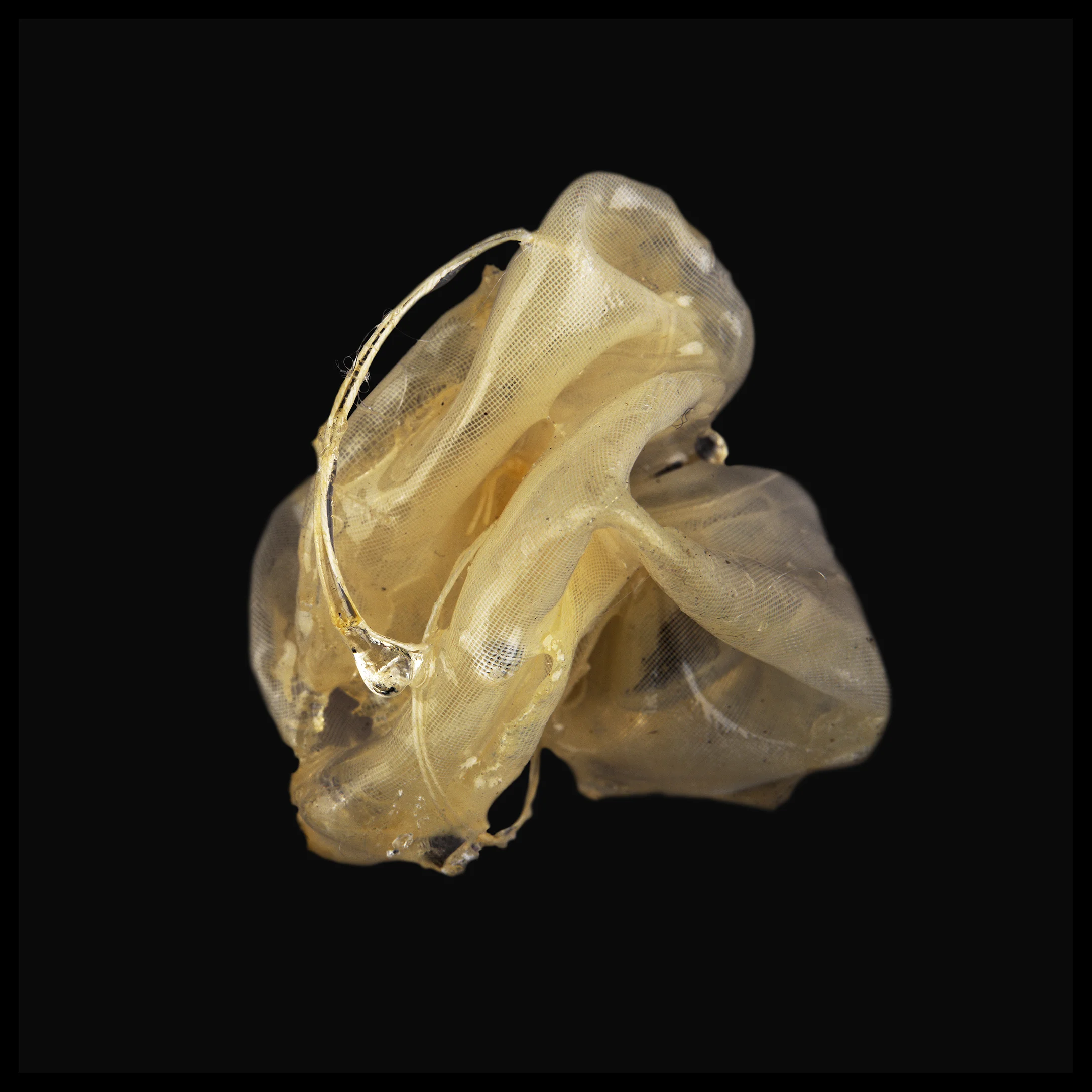Knot IX, 2010