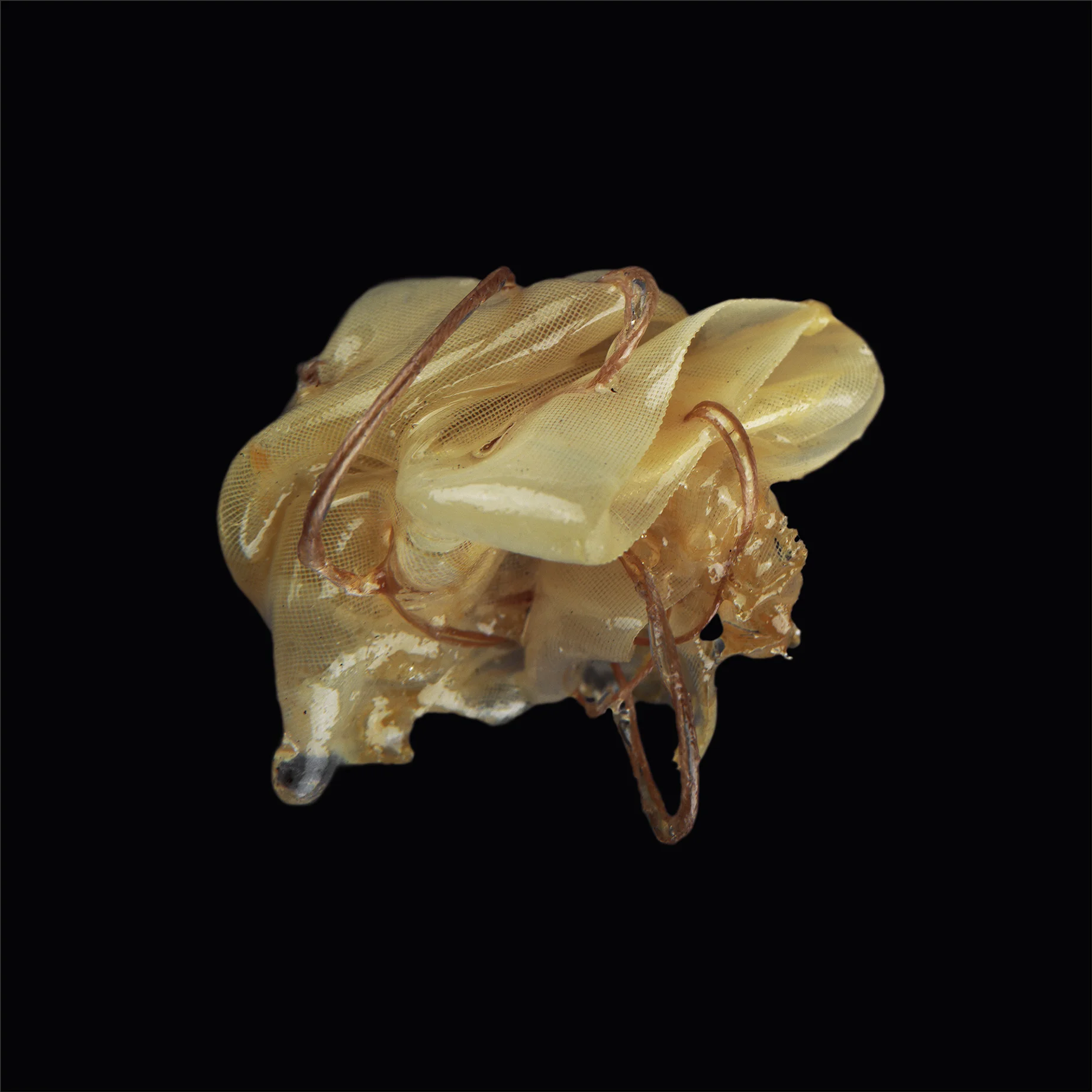 Knot V, 2010