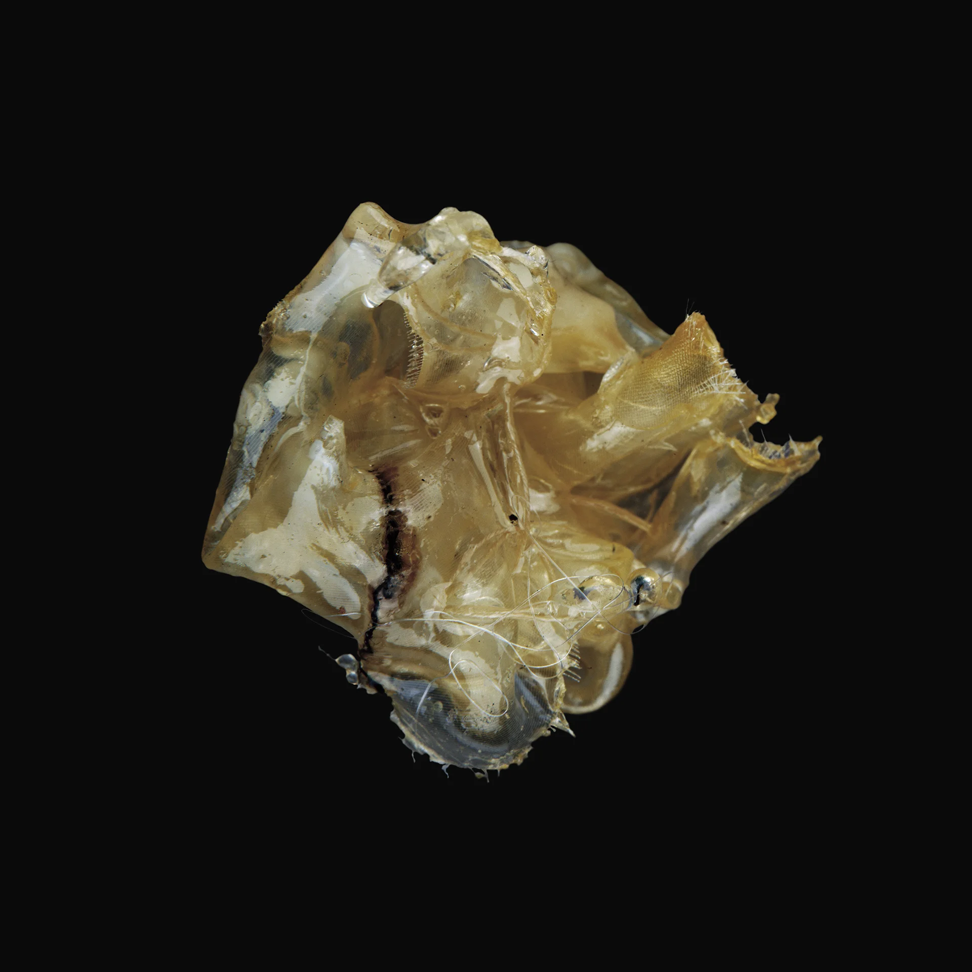 Knot VI, 2010