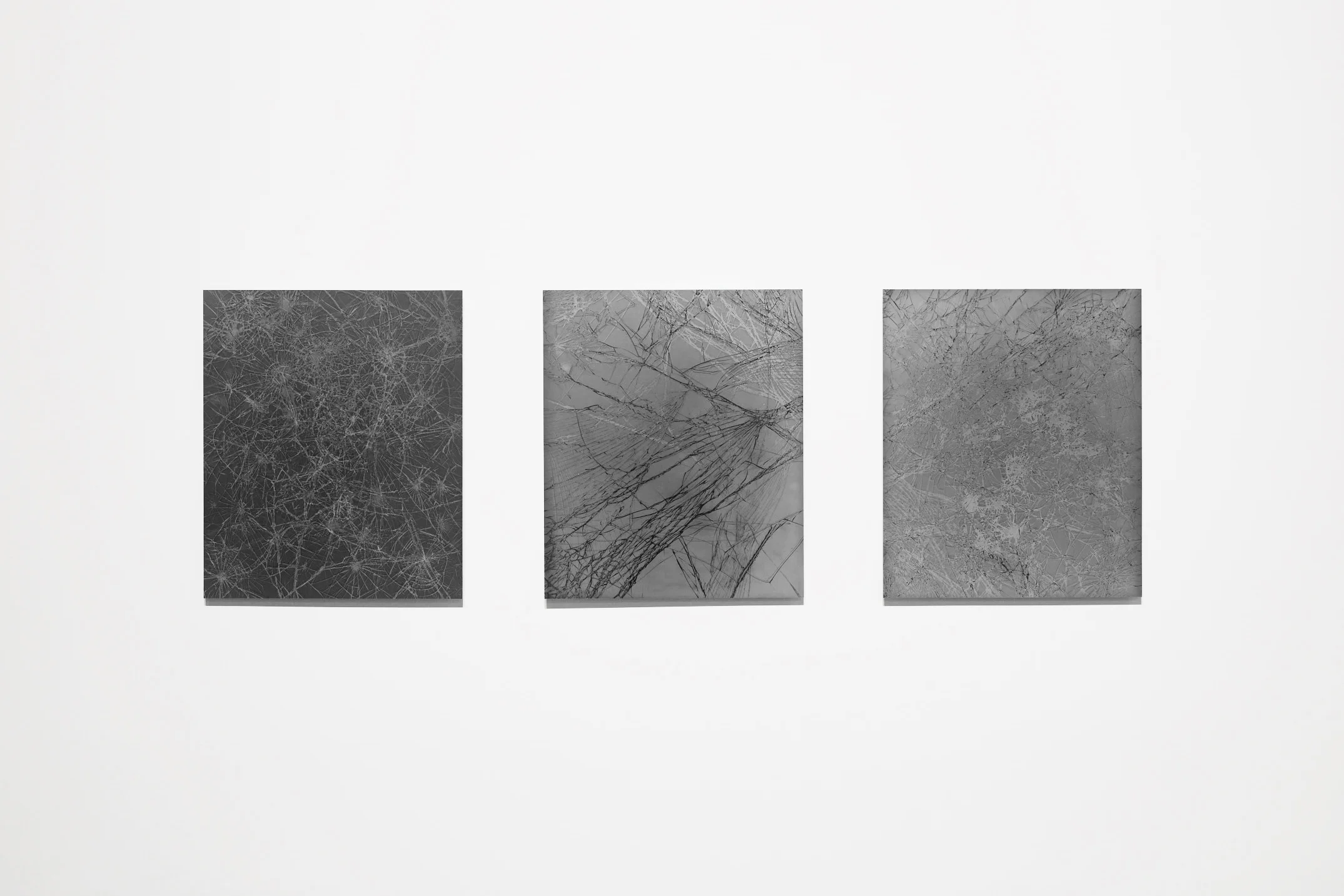 Installation view, Mills College Art Museum 2018