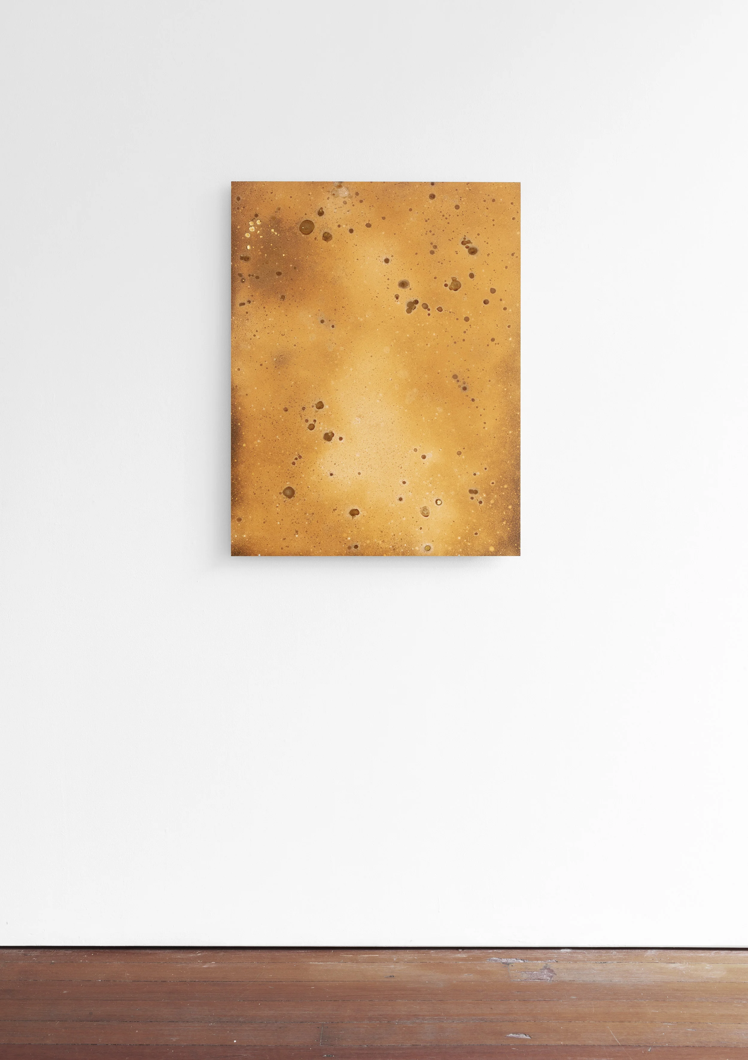 Installation view, SF Camerawork 2019