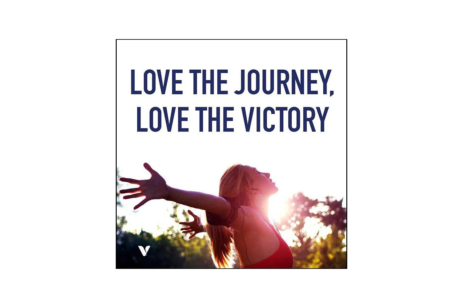 Vitamin Shoppe - Social Posts