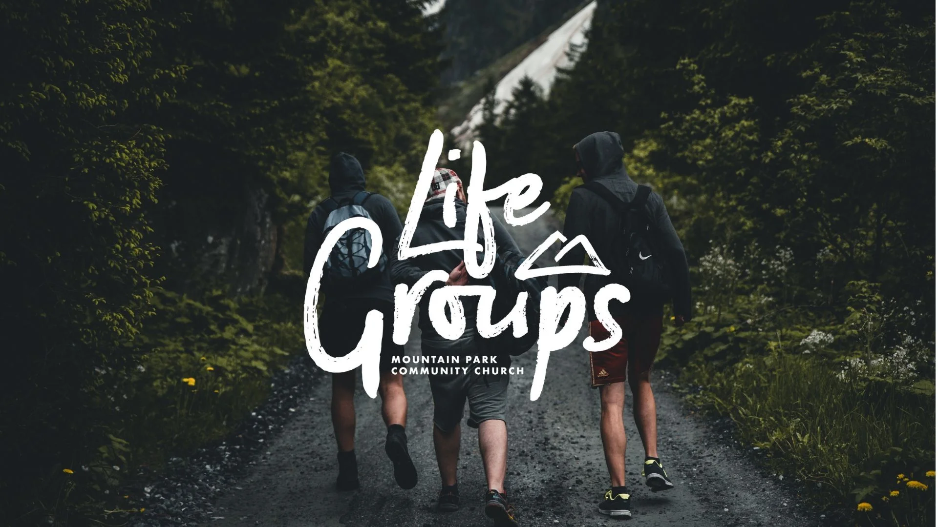 Copy of life groups cover.jpg