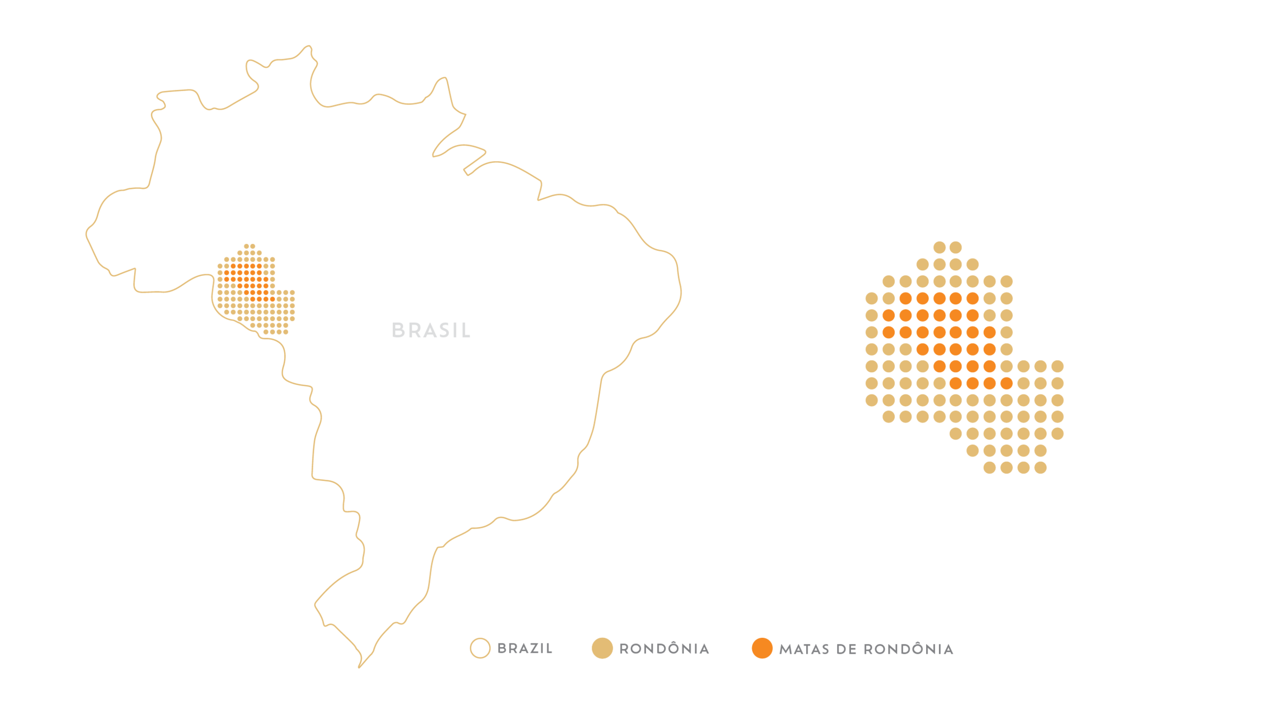 REGIOES VS2 Matas de Rondônia — Casa Brasil Coffees