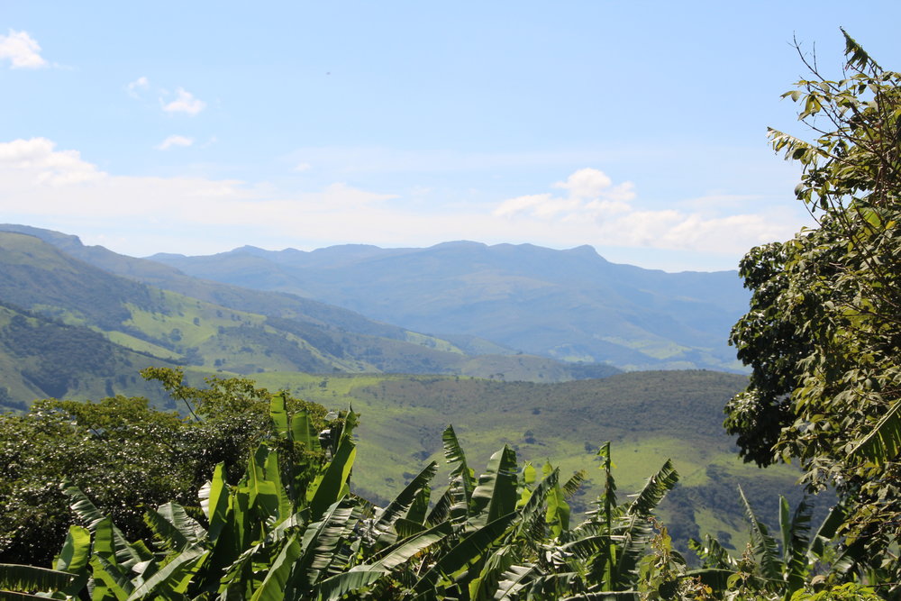 REGIOES VS2 Matas de Rondônia — Casa Brasil Coffees