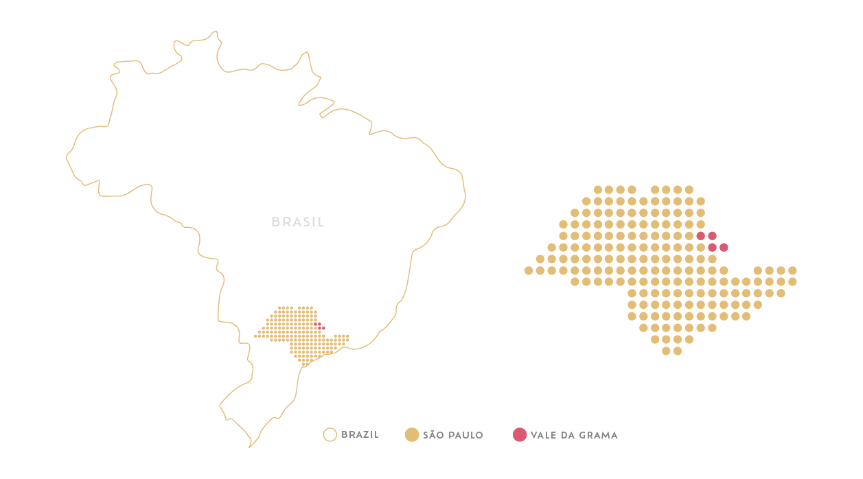 REGIOES VS2 Vale da Grama — Casa Brasil Coffees