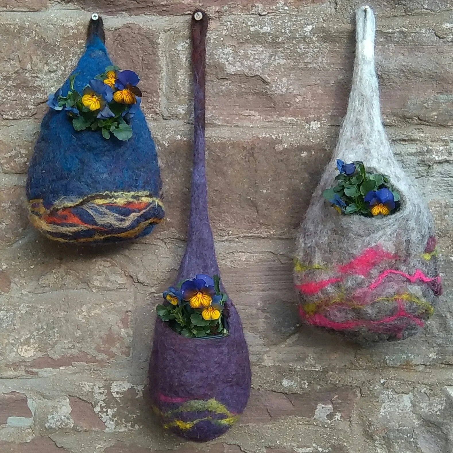 IMAG0564_1.jpg