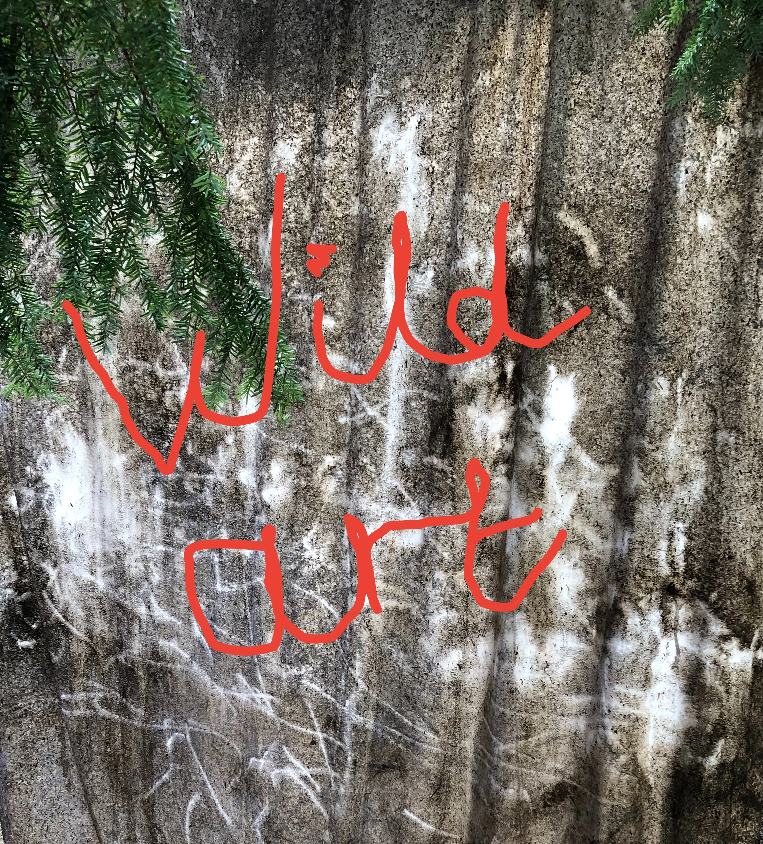 Wild Art - AM Child ticket