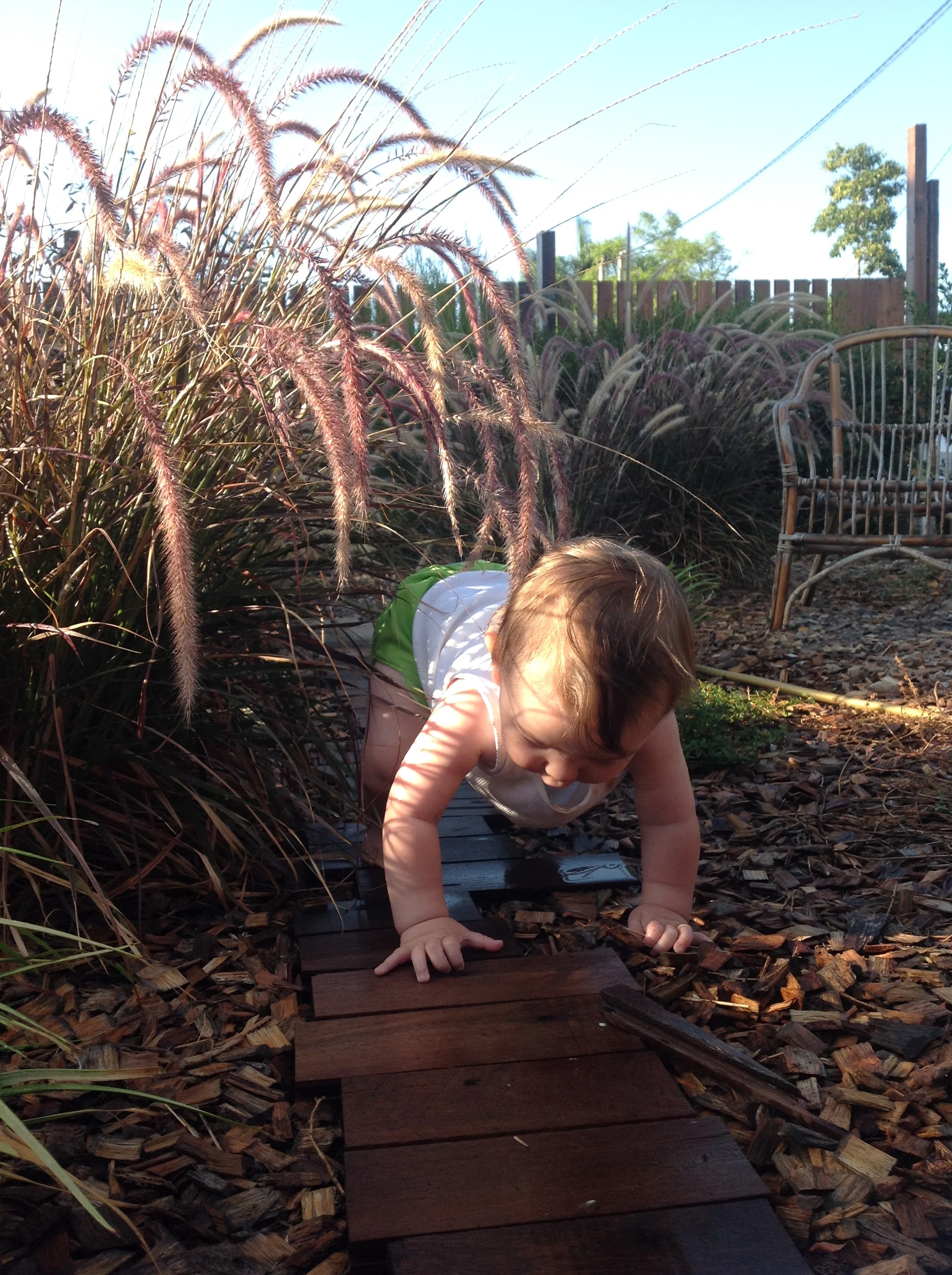 2015-02-07 07.49.45.jpg